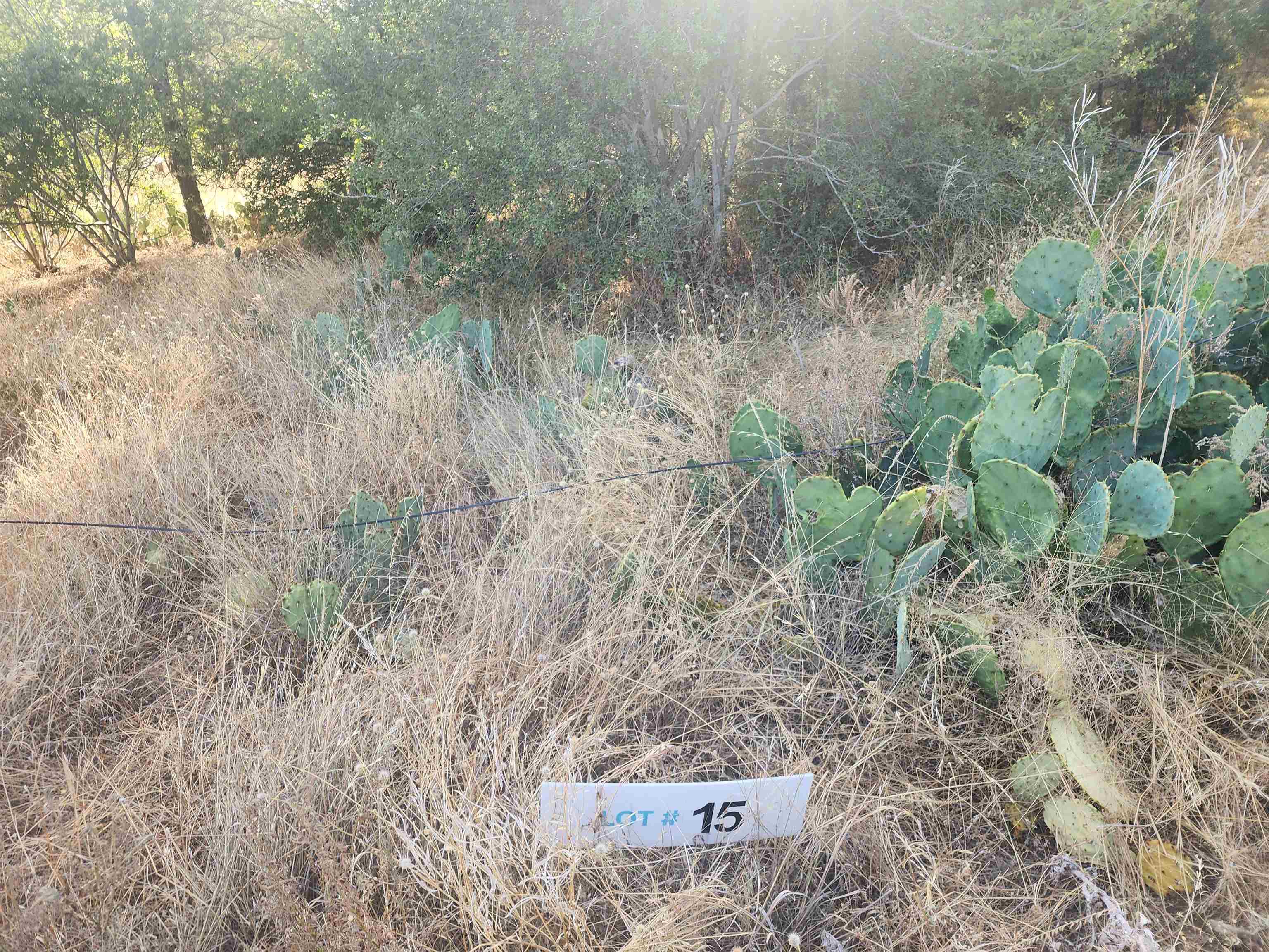 Tbd Stellar Lot 15 Property Photo 1