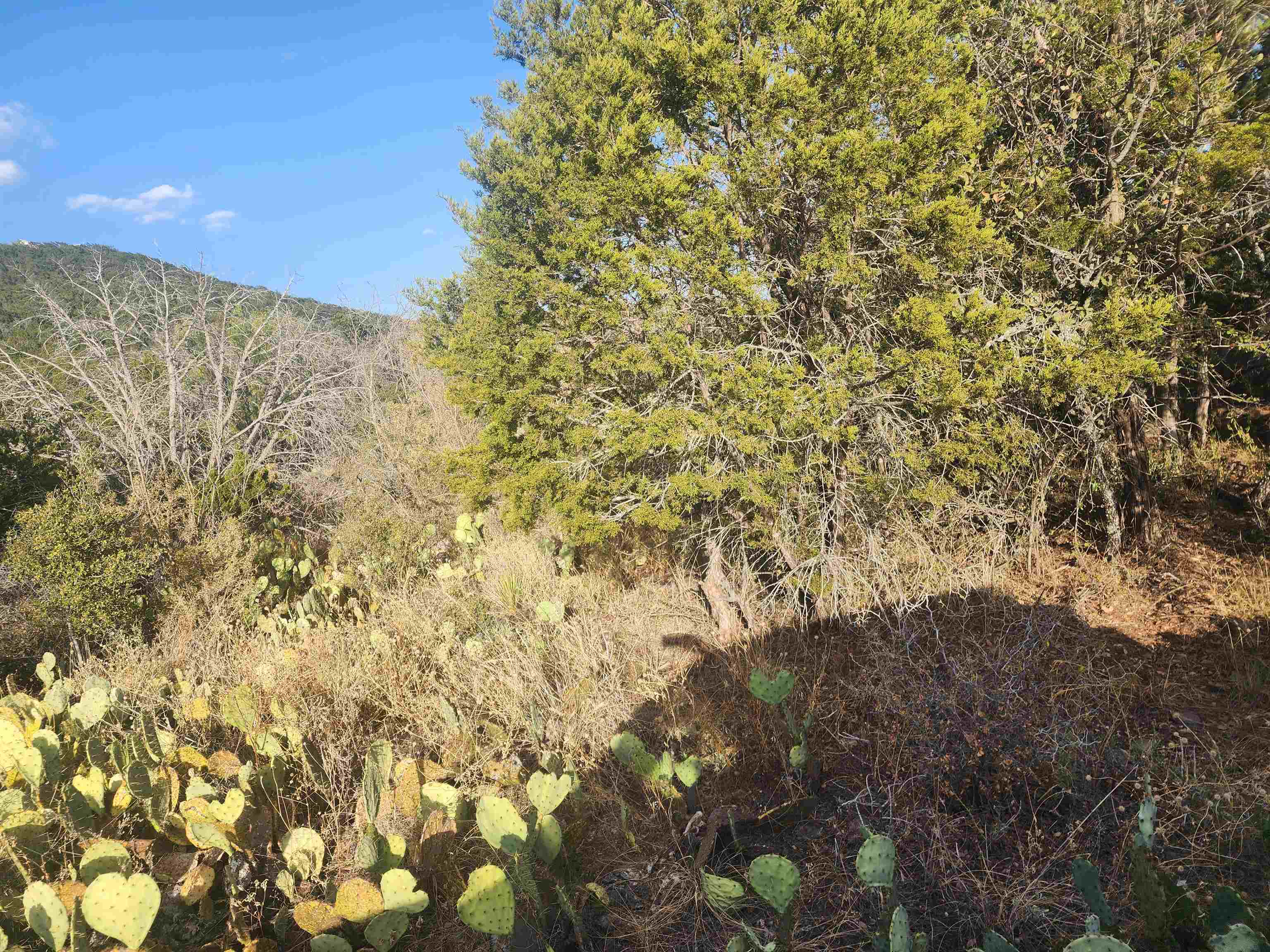 Tbd Stellar Lot 15 Property Photo 2