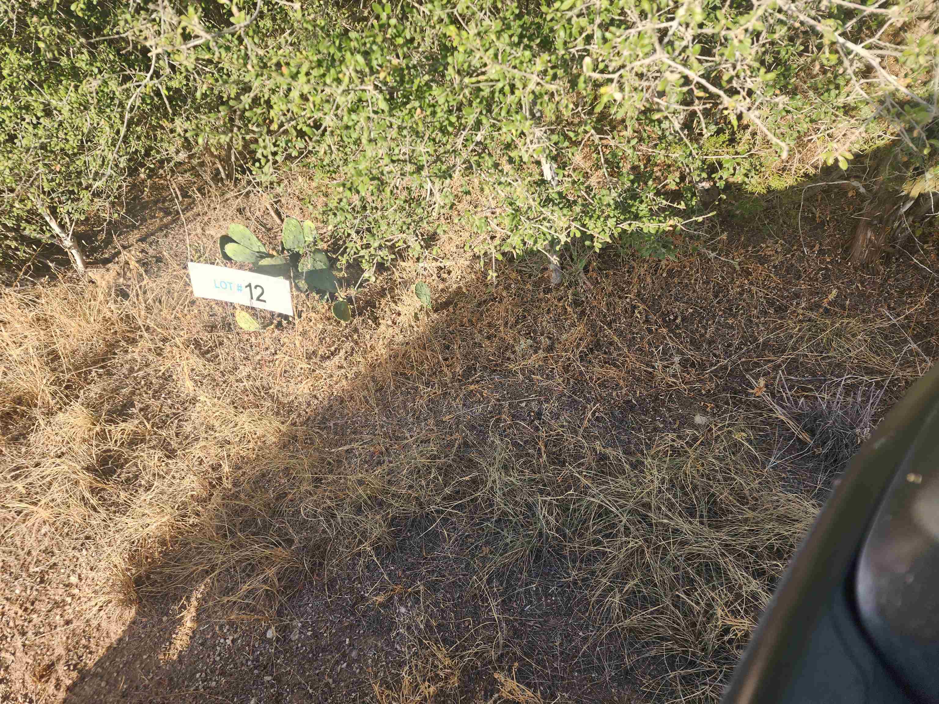 Tbd Radium Lot 12 Property Photo 1