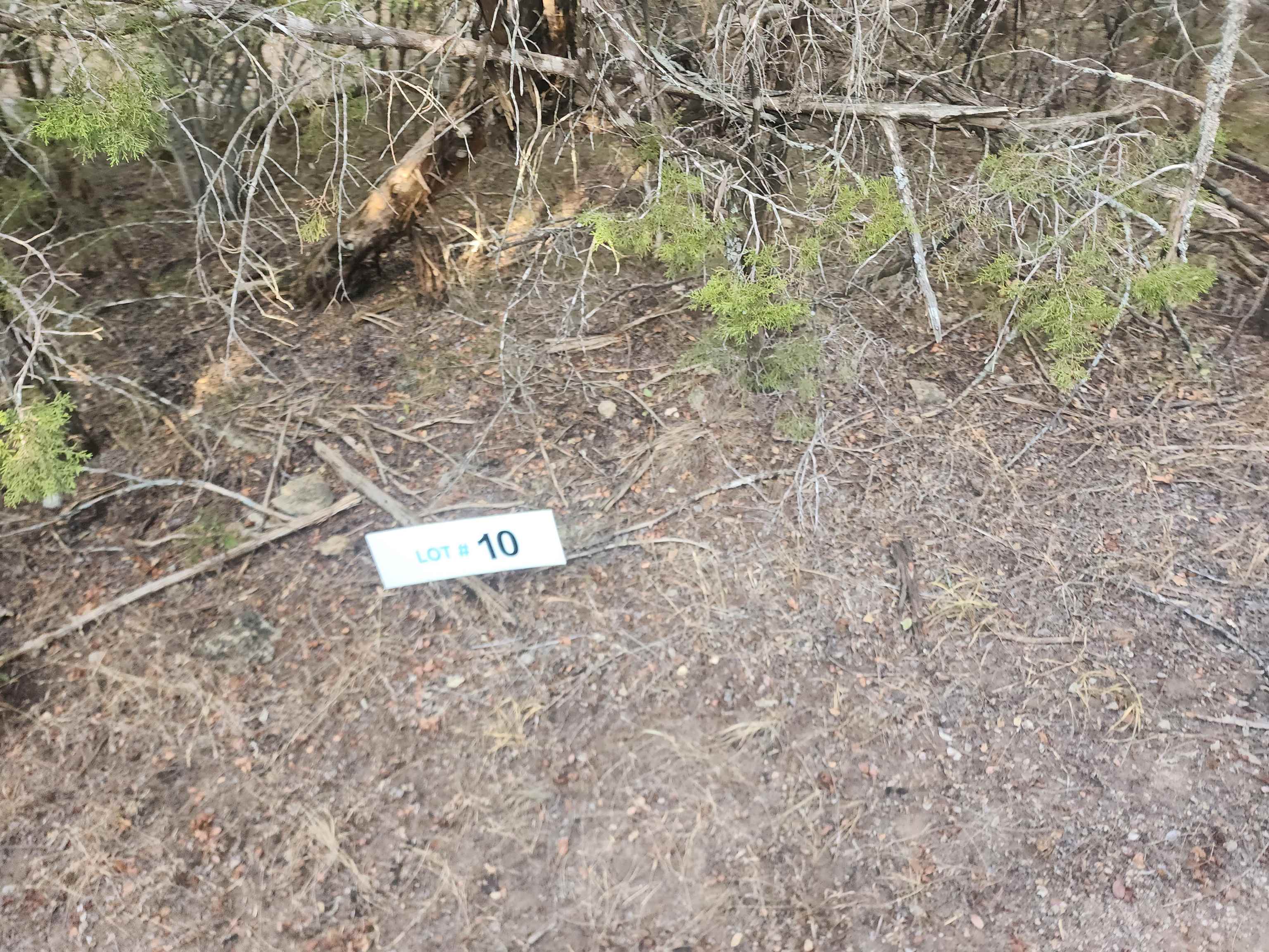 Tbd Radium Lot 10 Property Photo 1