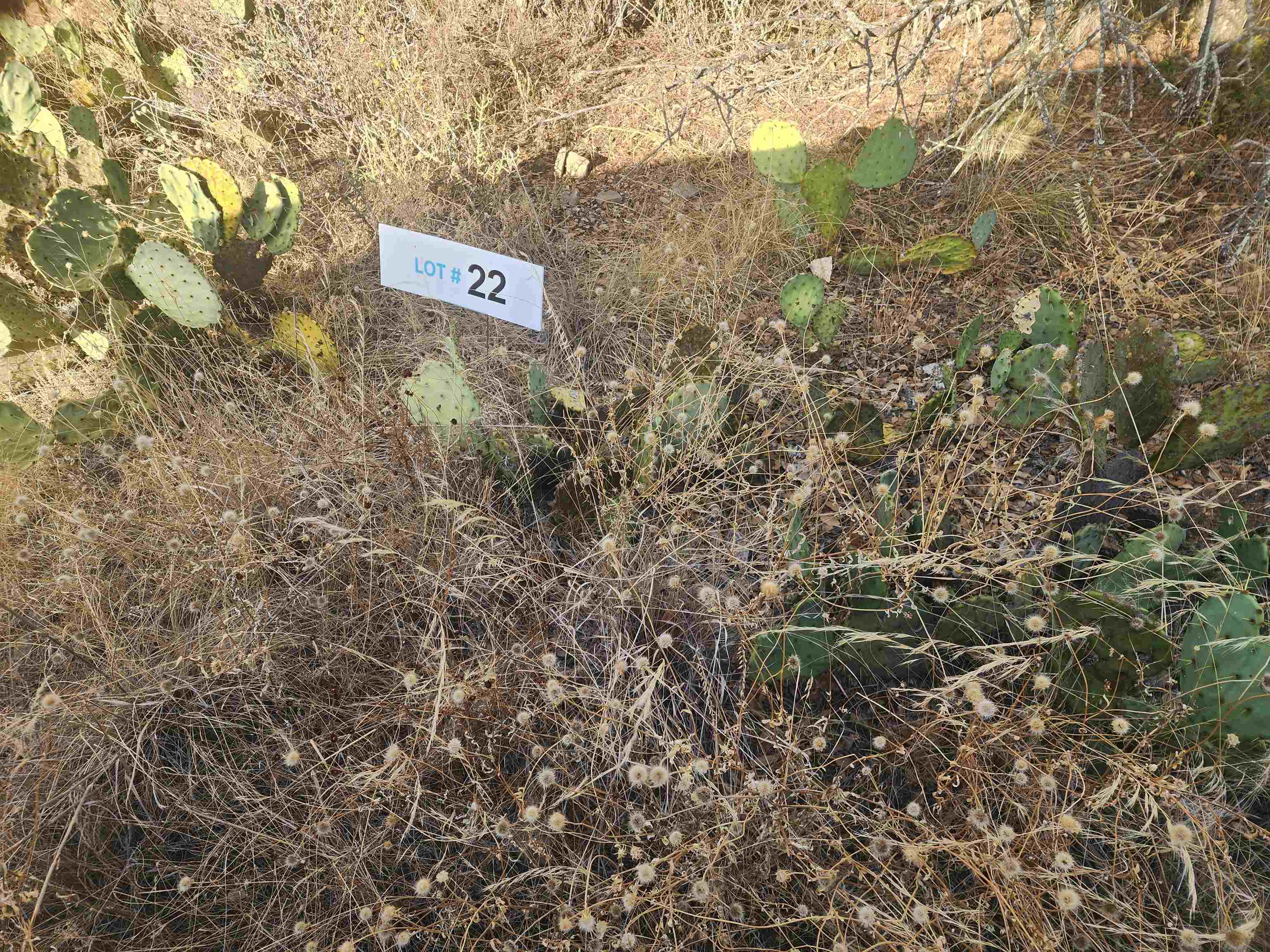 Tbd Radium Lot 22 Property Photo 1