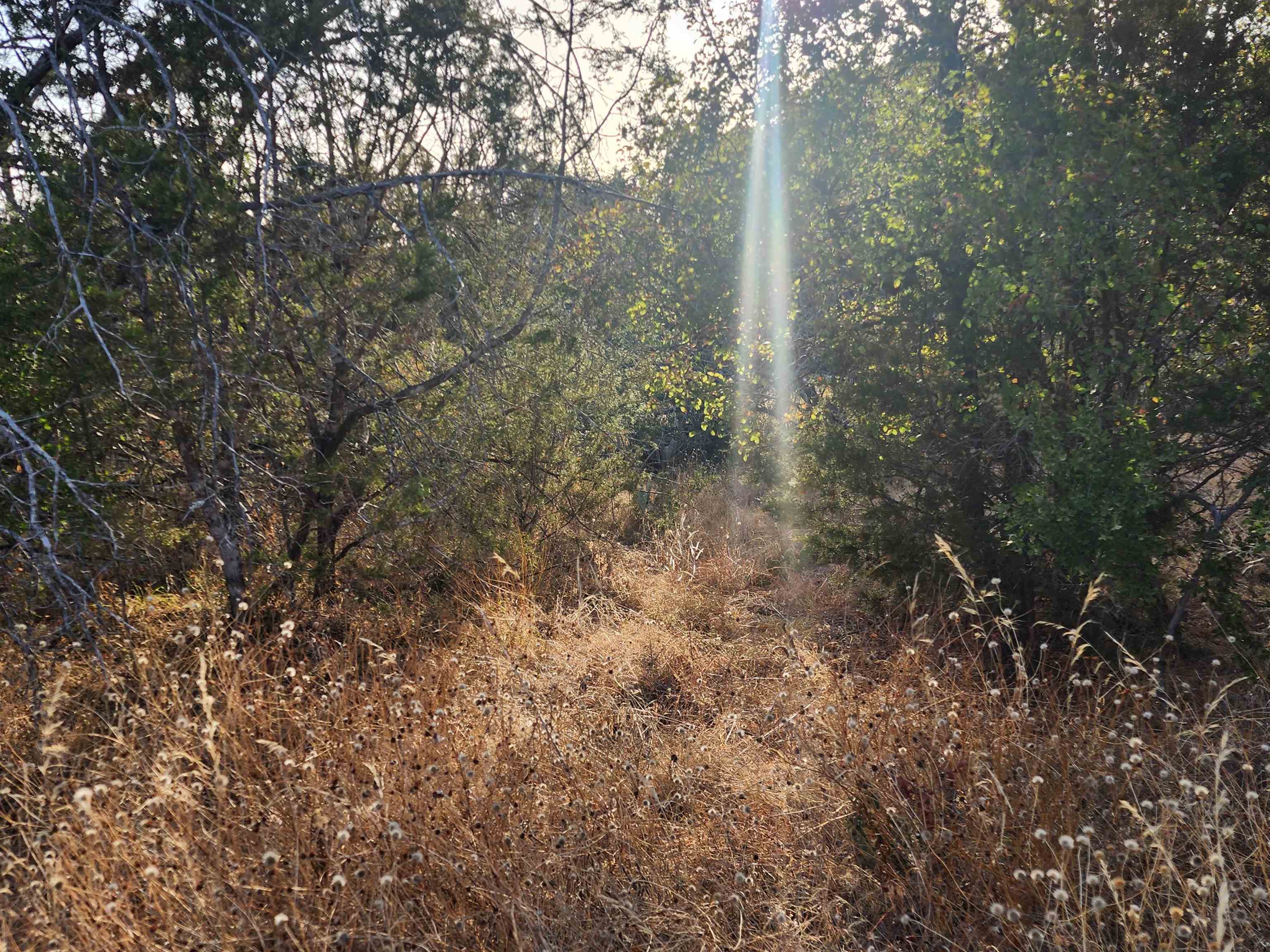 Tbd Radium Lot 16 Property Photo 3
