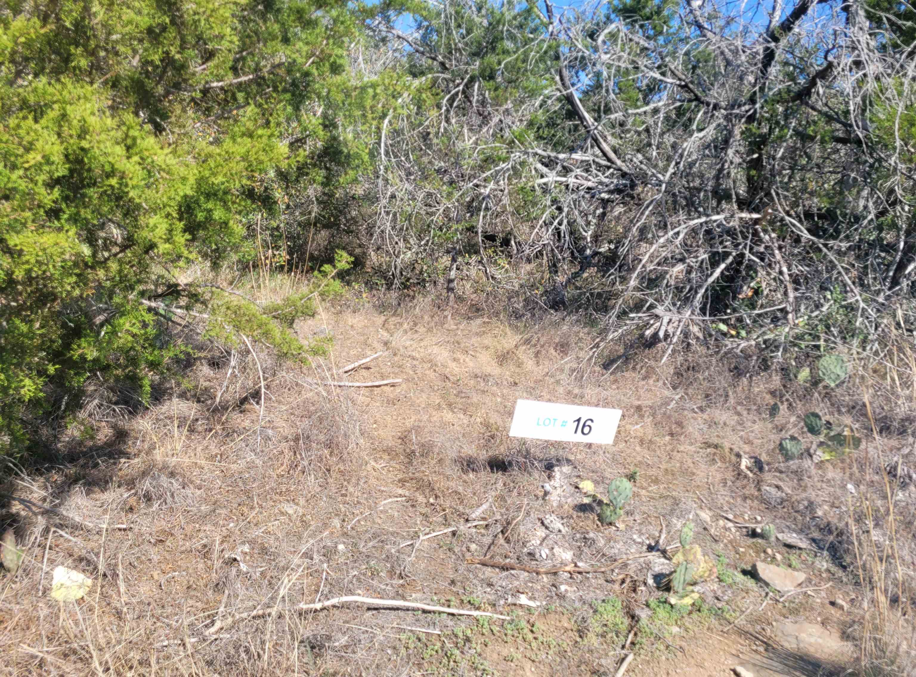 Tbd Radium Lot 16 Property Photo 1