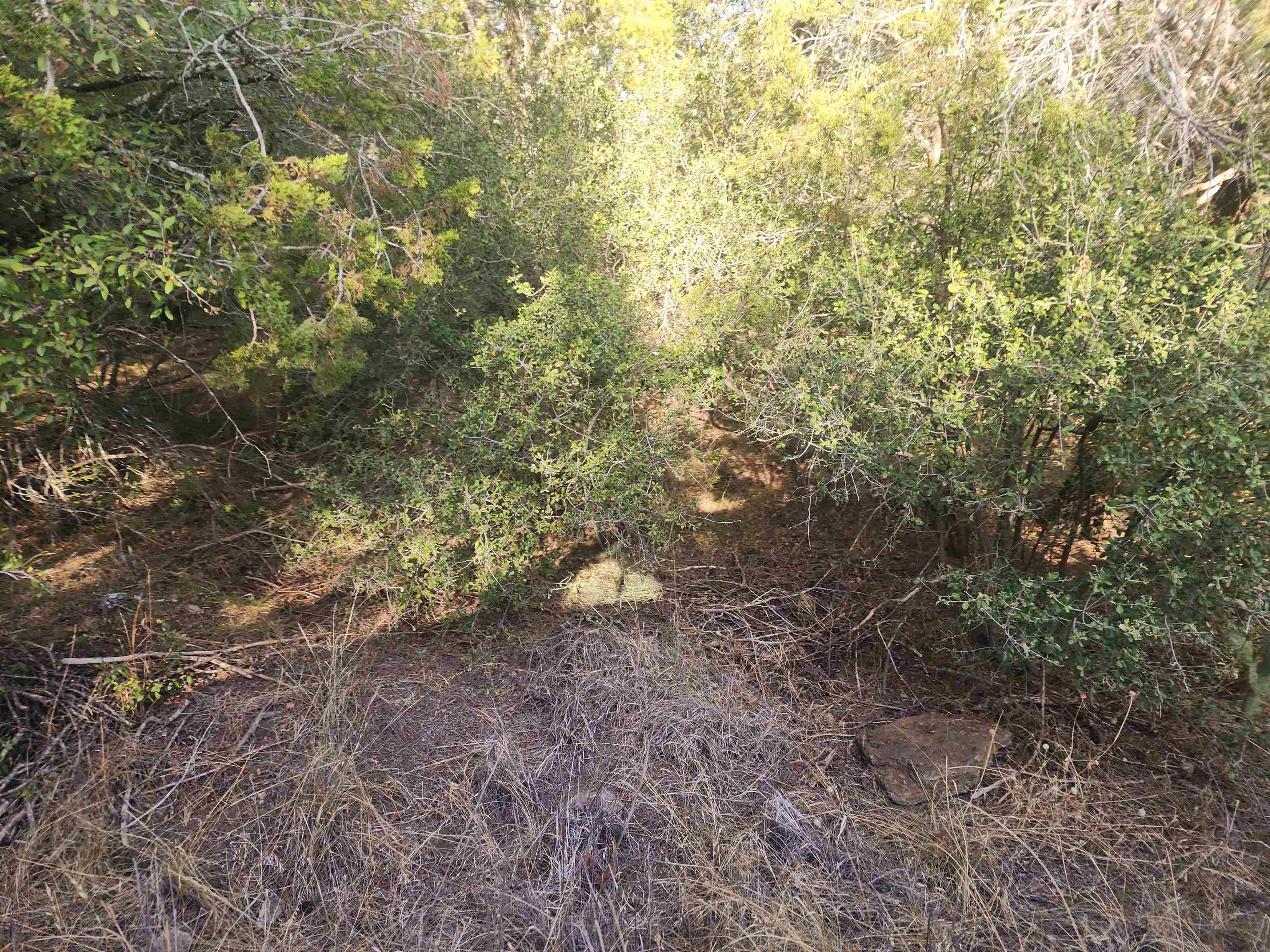 Tbd Radium Lot 16 Property Photo 2