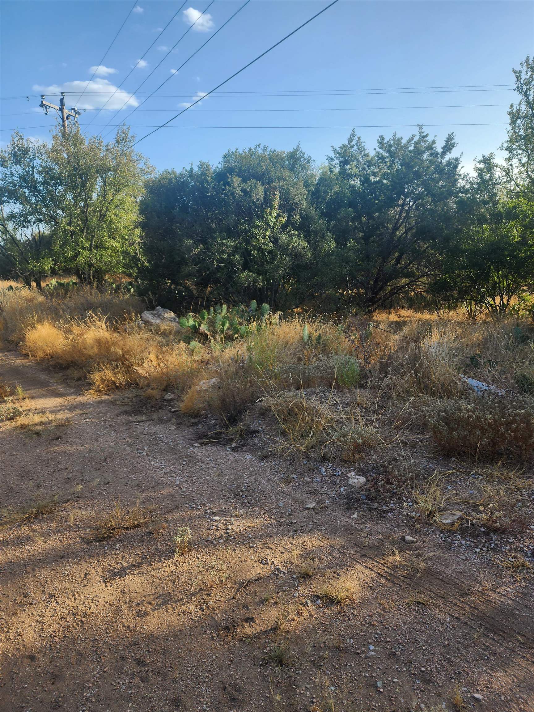 Tbd Radium Lot 16 Property Photo 3