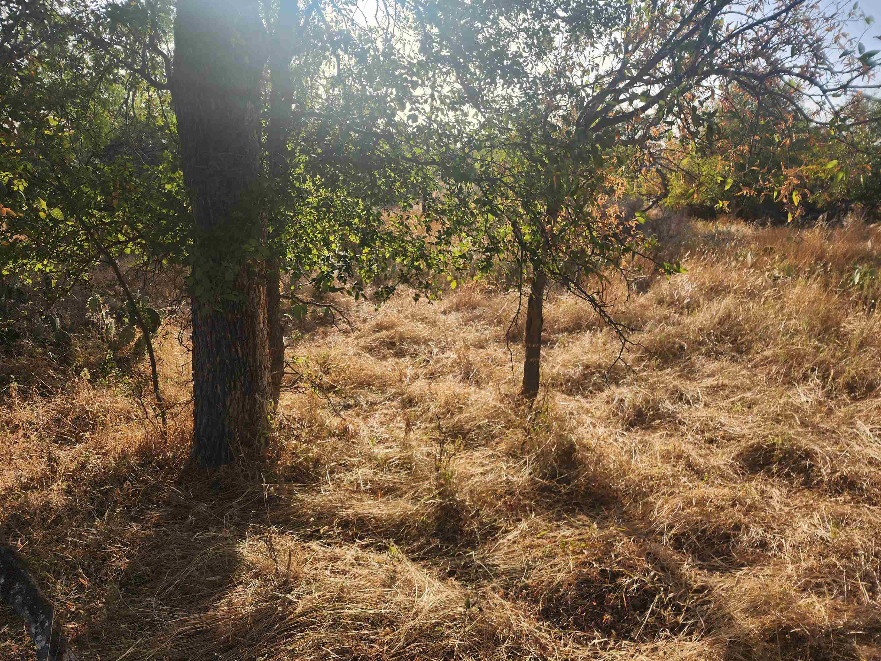 Tbd Radium Lot 16 Property Photo 5