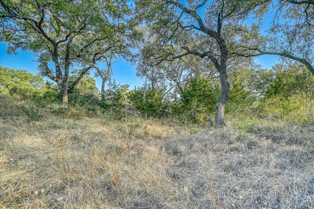 Pristine Pass Property Photo 9