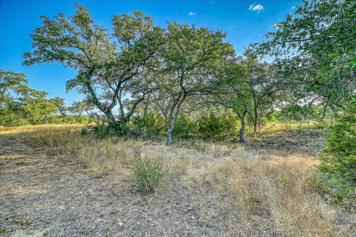 Pristine Pass Property Photo 10