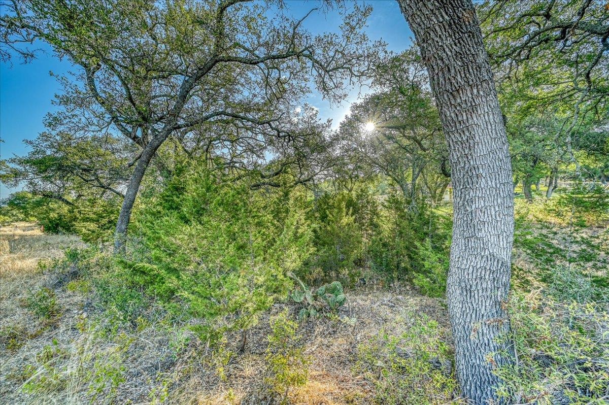 Pristine Pass Property Photo 11