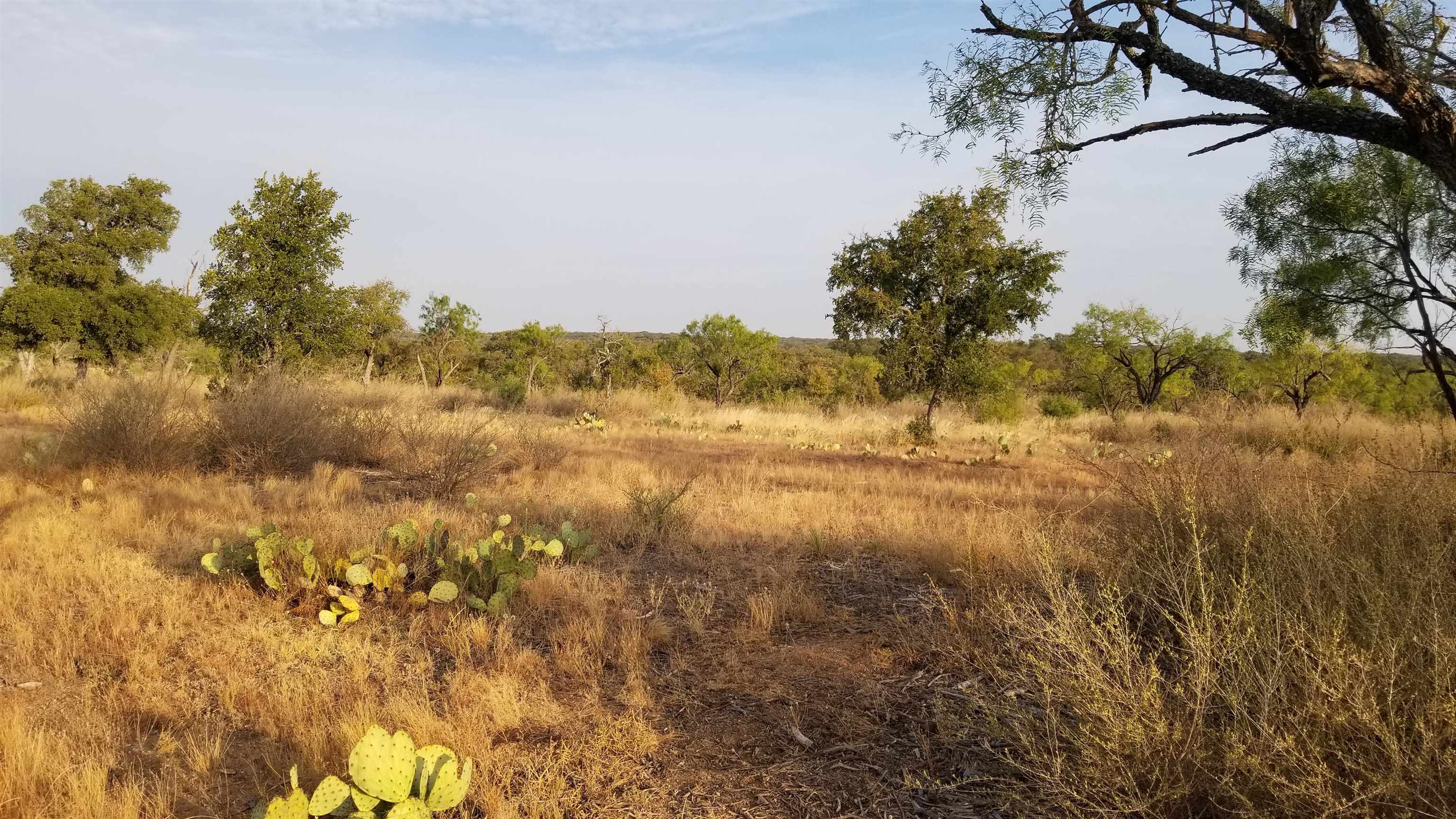 Tbd Hickory Creek Ranch Drive Property Photo 3