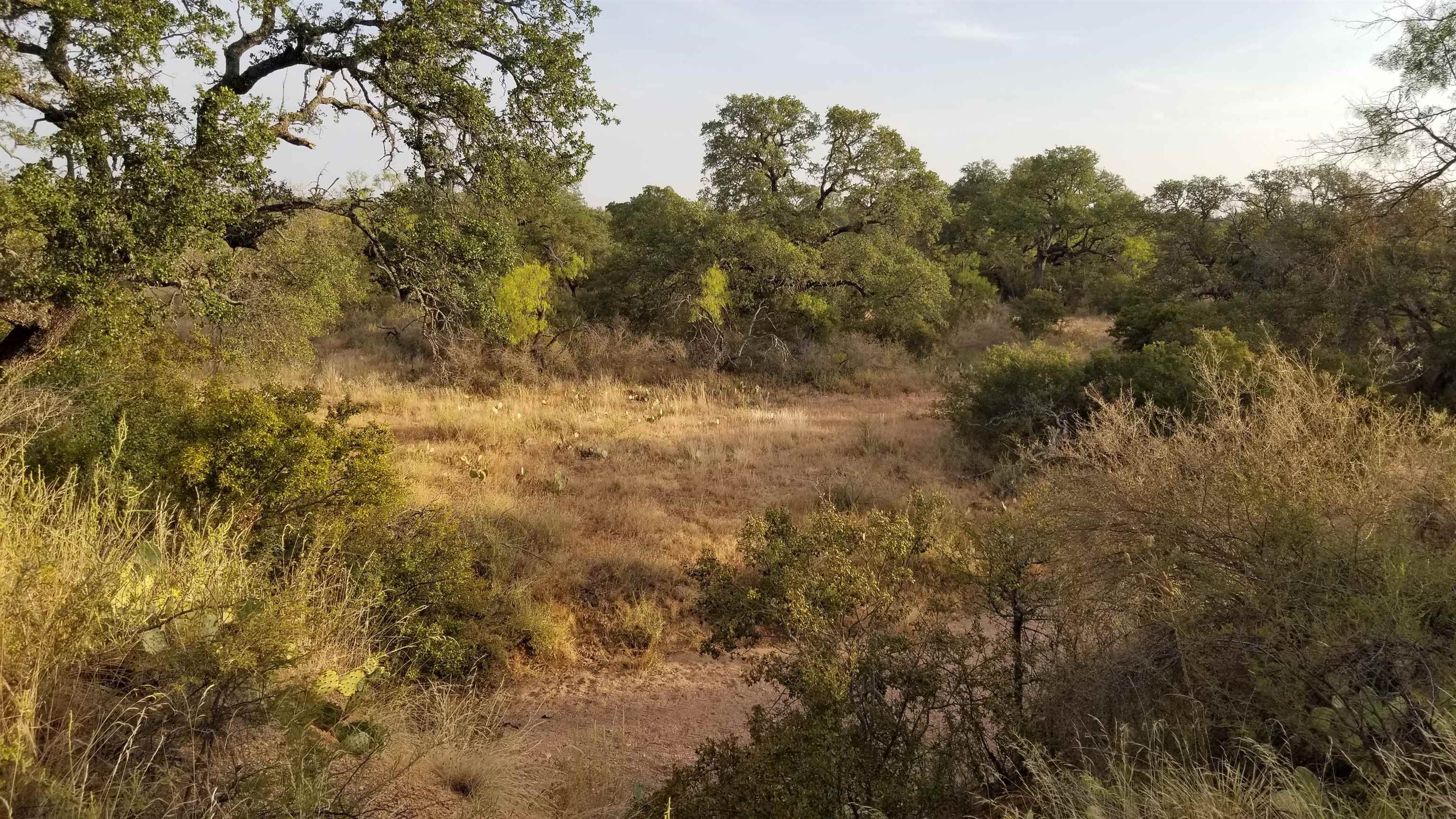 Tbd Hickory Creek Ranch Drive Property Photo 5