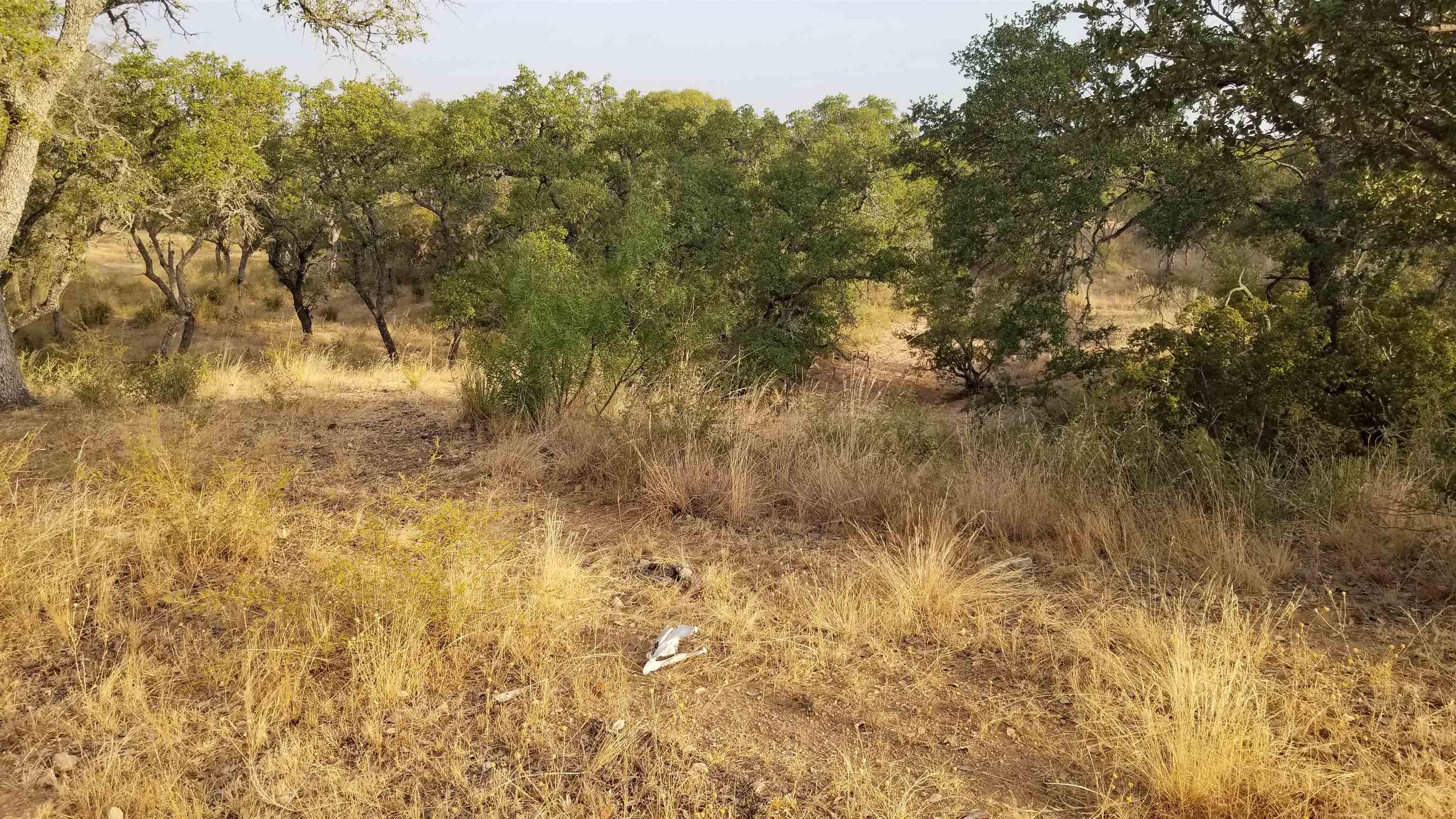 Tbd Hickory Creek Ranch Drive Property Photo 7