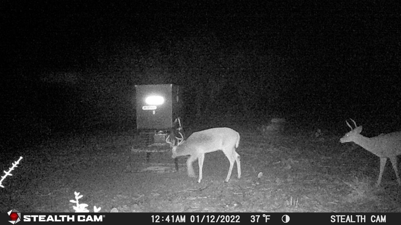 Tbd Hickory Creek Ranch Drive Property Photo 11