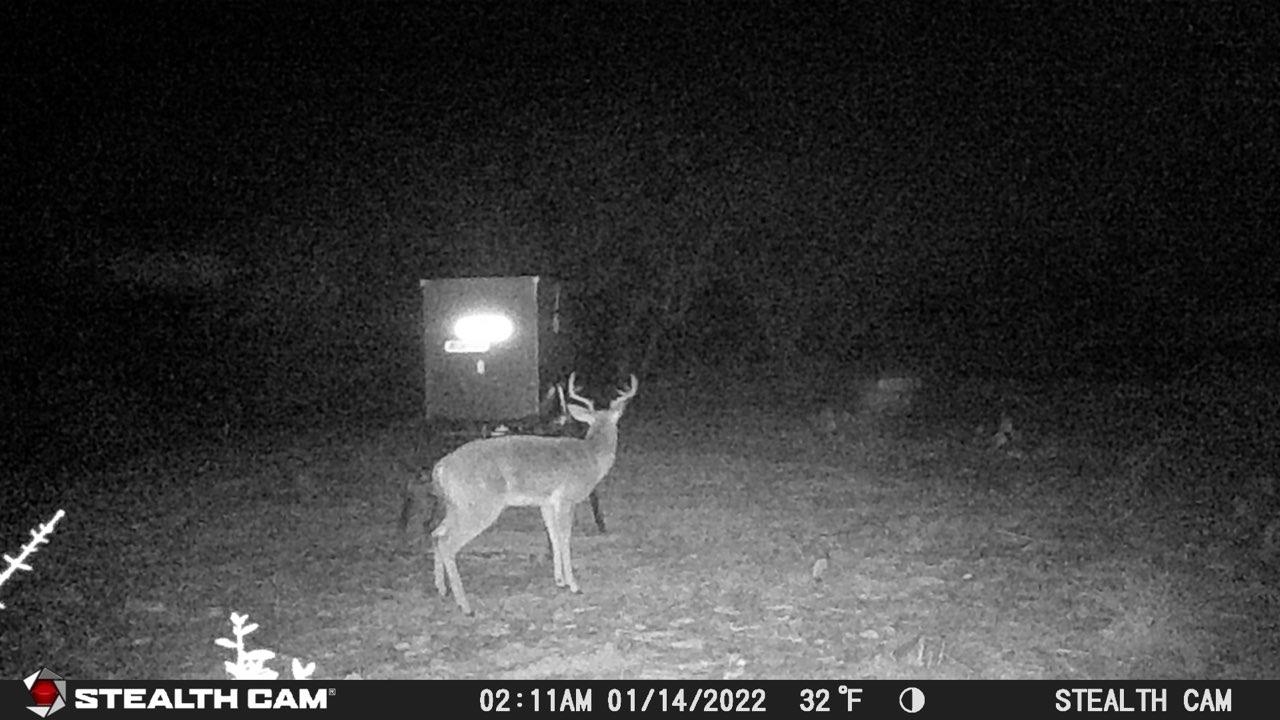 Tbd Hickory Creek Ranch Drive Property Photo 13