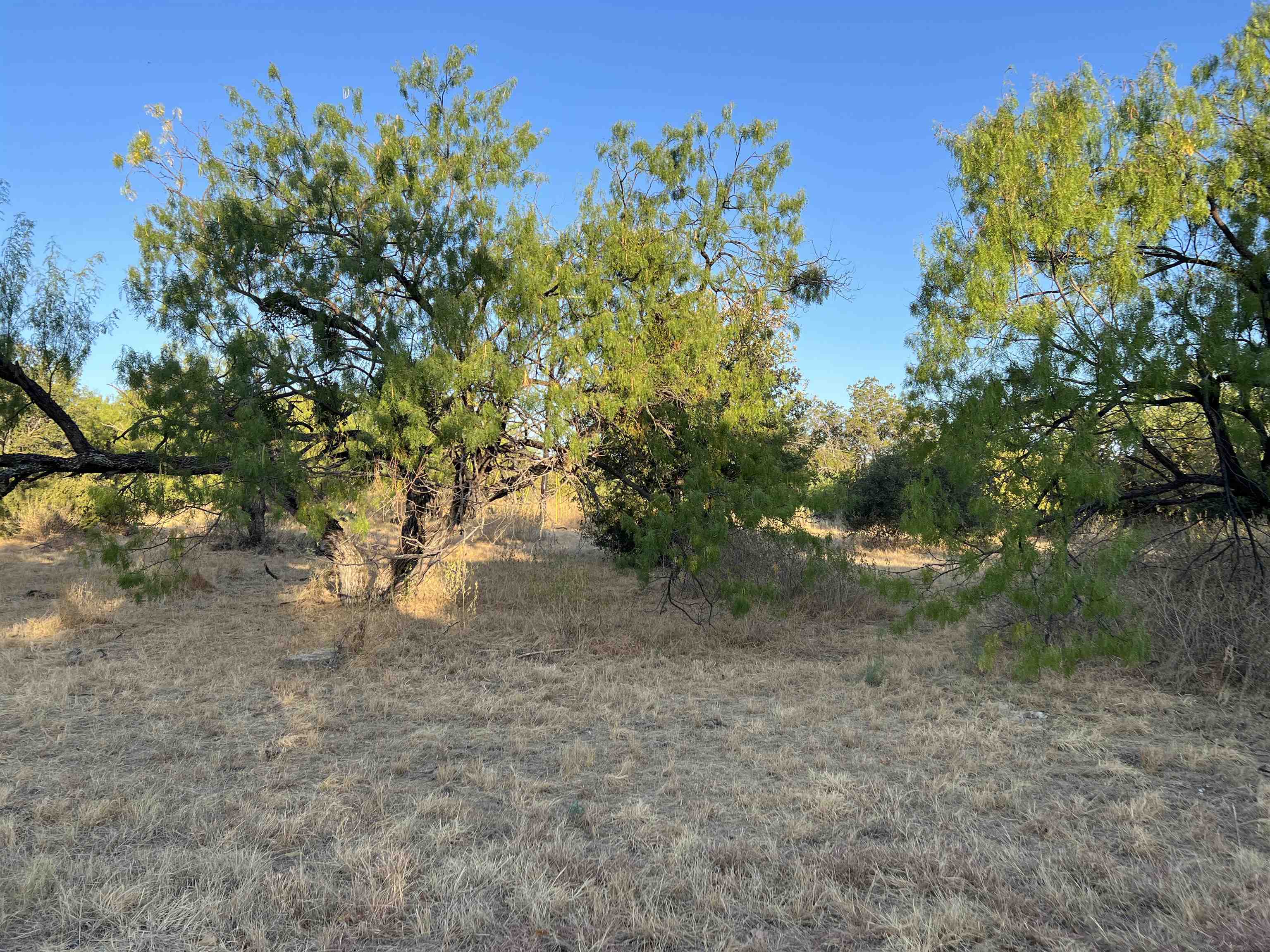 Lot 11001 Broken Arrow Property Photo 3