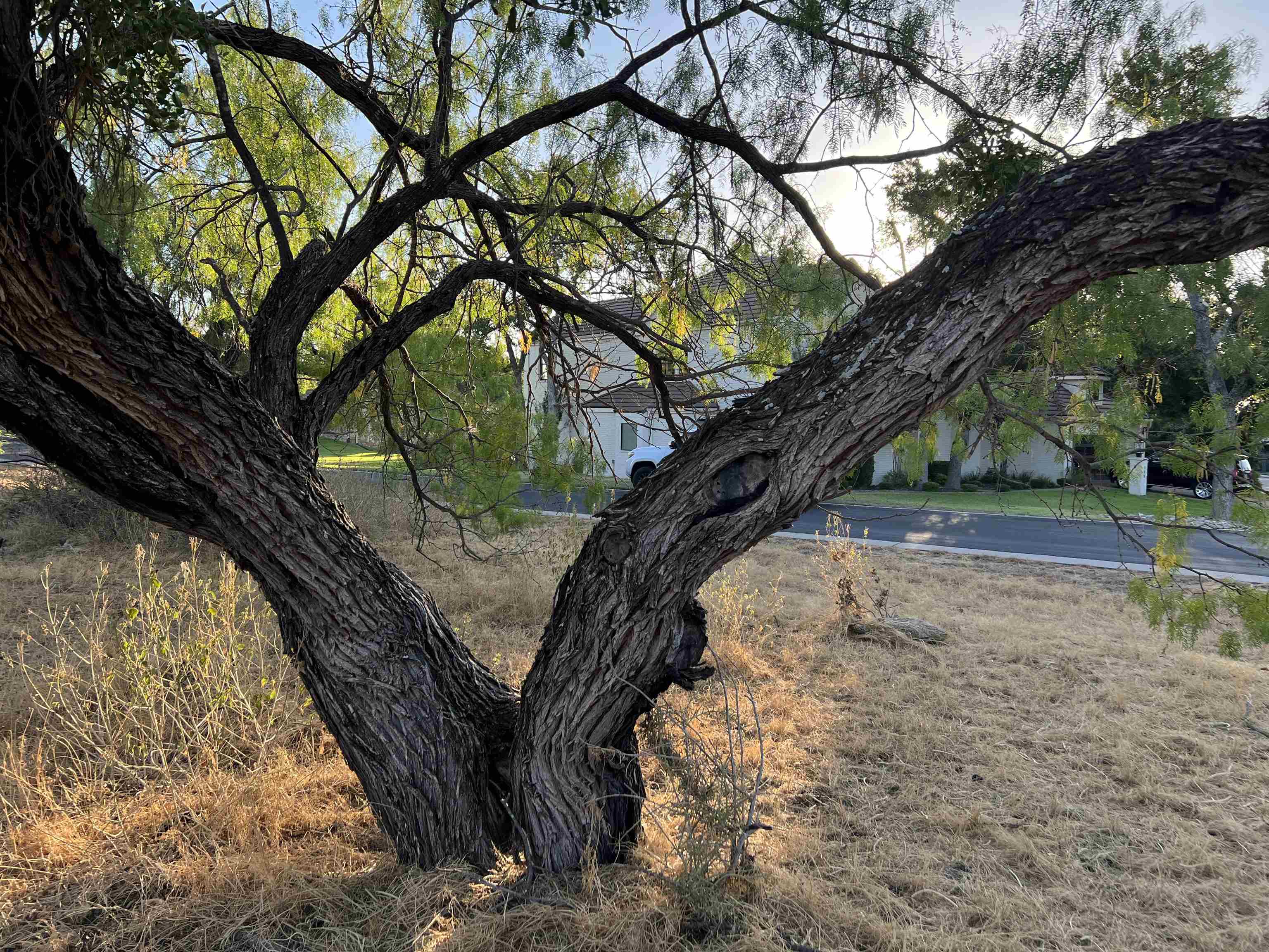 Lot 11001 Broken Arrow Property Photo 10