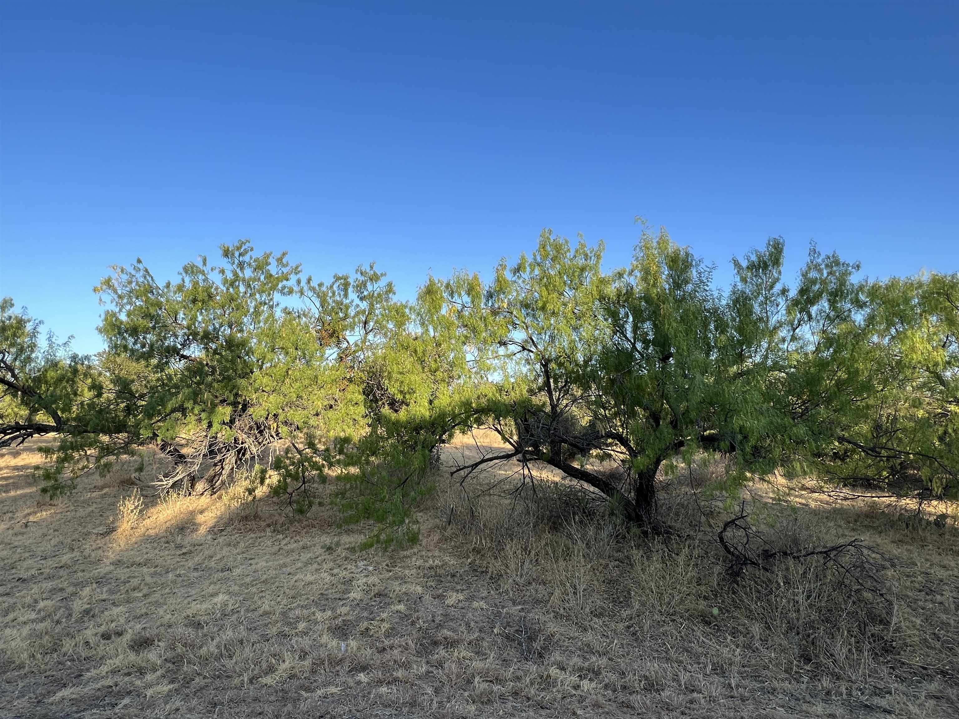 Lot 11001 Broken Arrow Property Photo 12