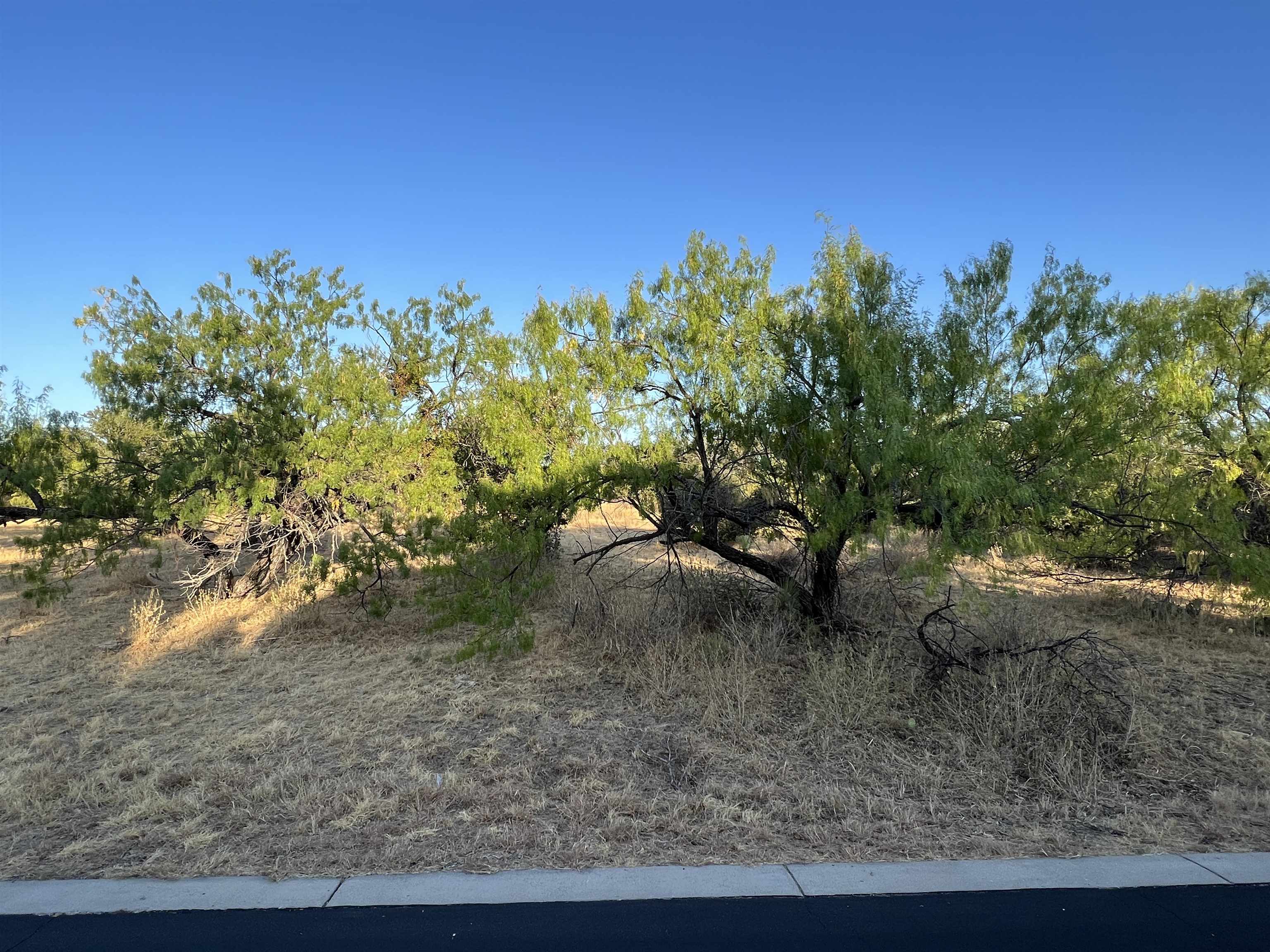 Lot 11001 Broken Arrow Property Photo 13