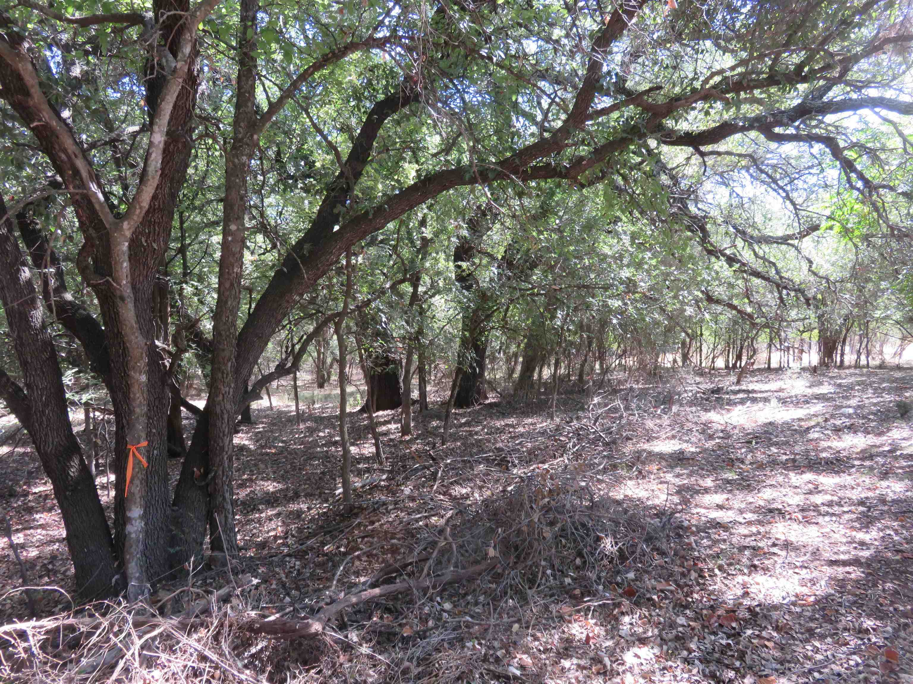 606 Sandy Mountain Drive Property Photo 1