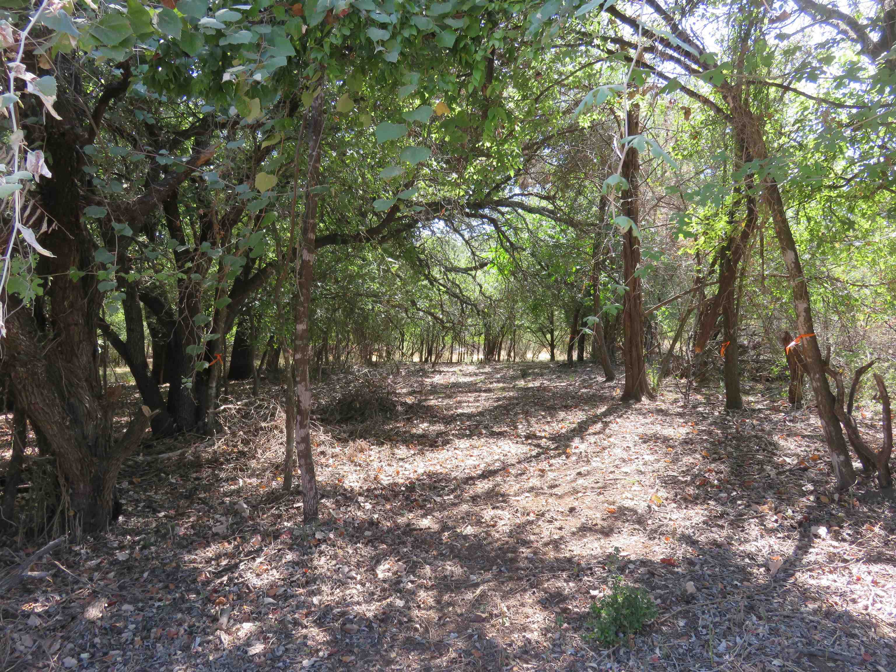 606 Sandy Mountain Drive Property Photo 2