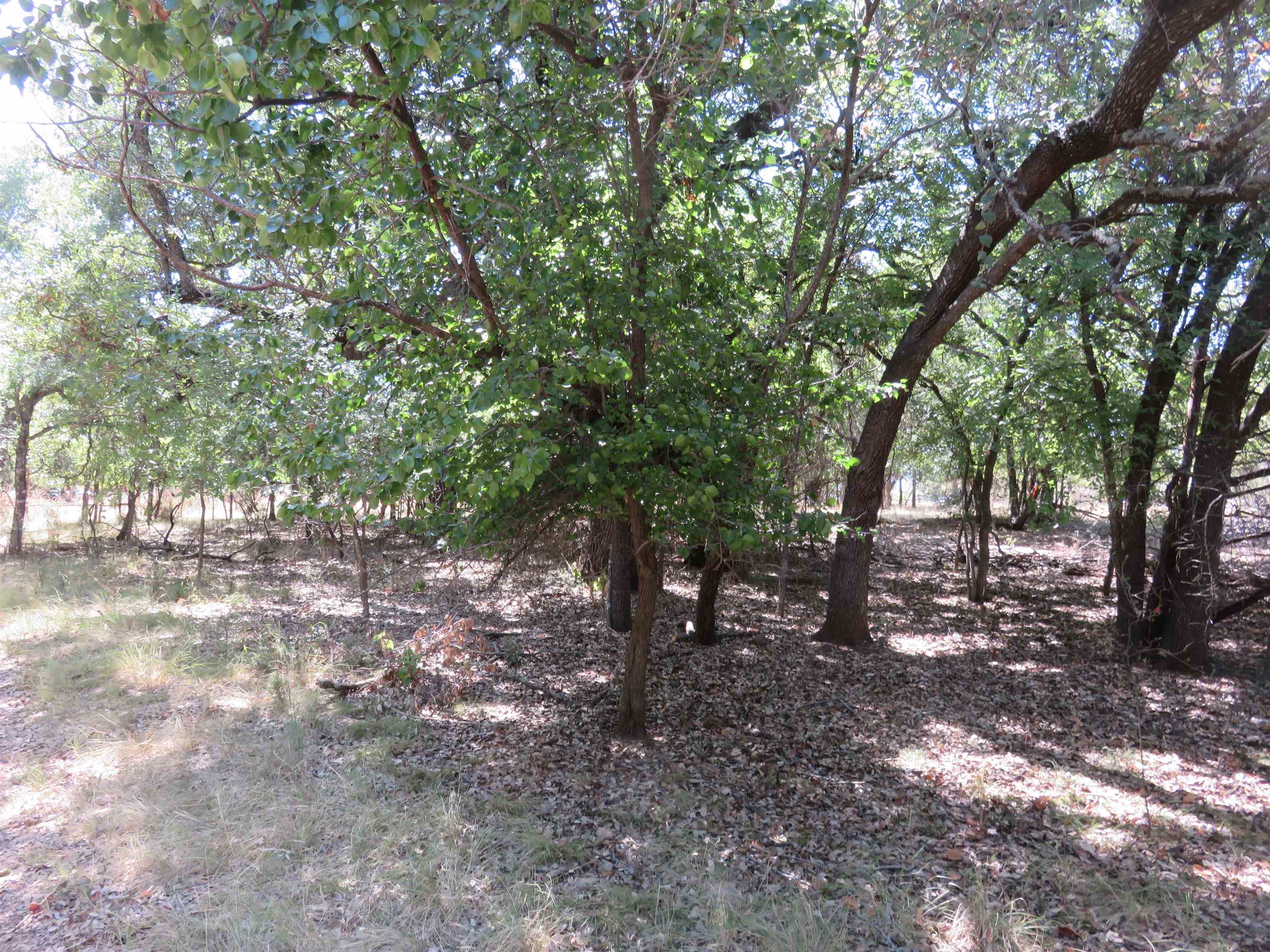 606 Sandy Mountain Drive Property Photo 4