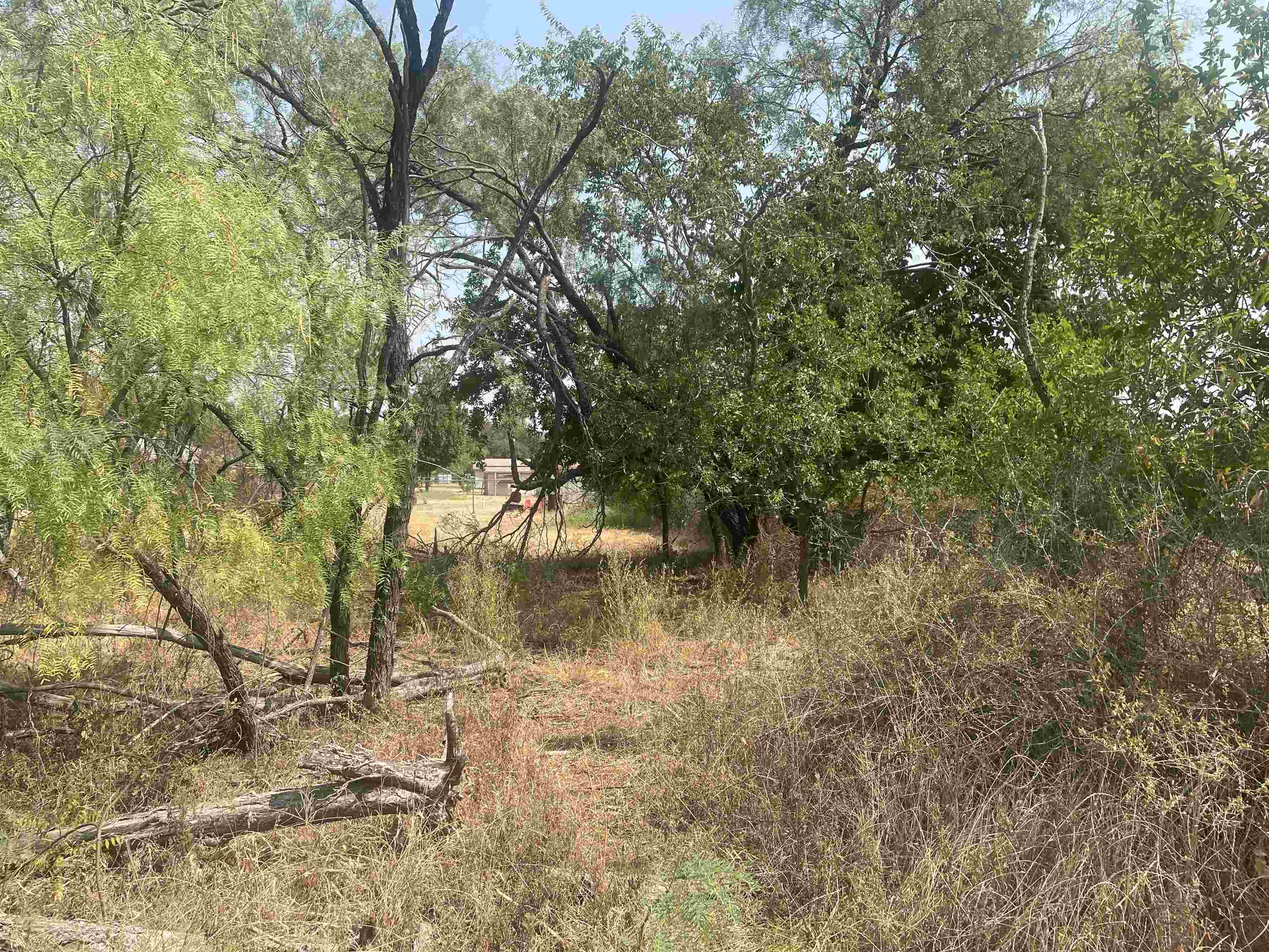 00 Mountain View Property Photo 5