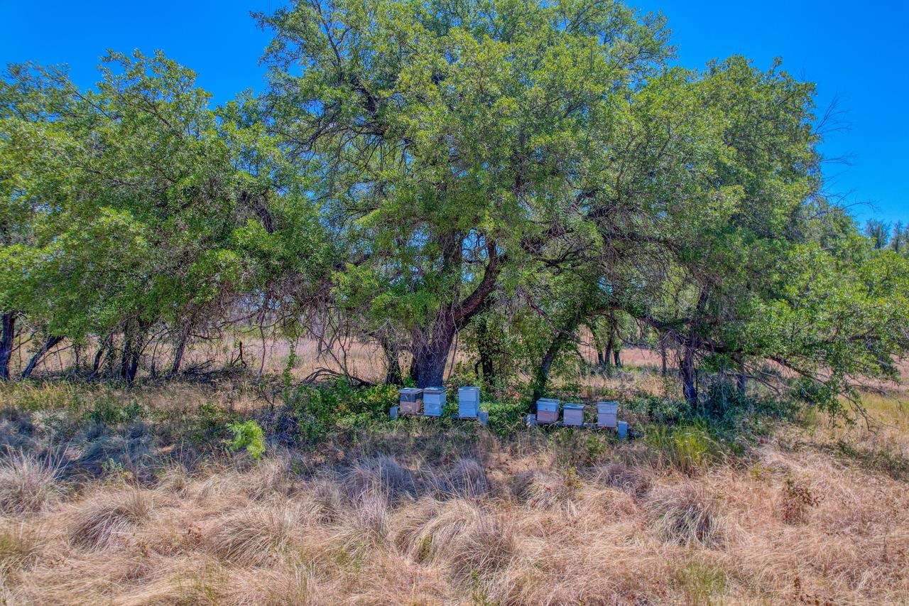 9580 Smith West Ranch Road Property Photo 10