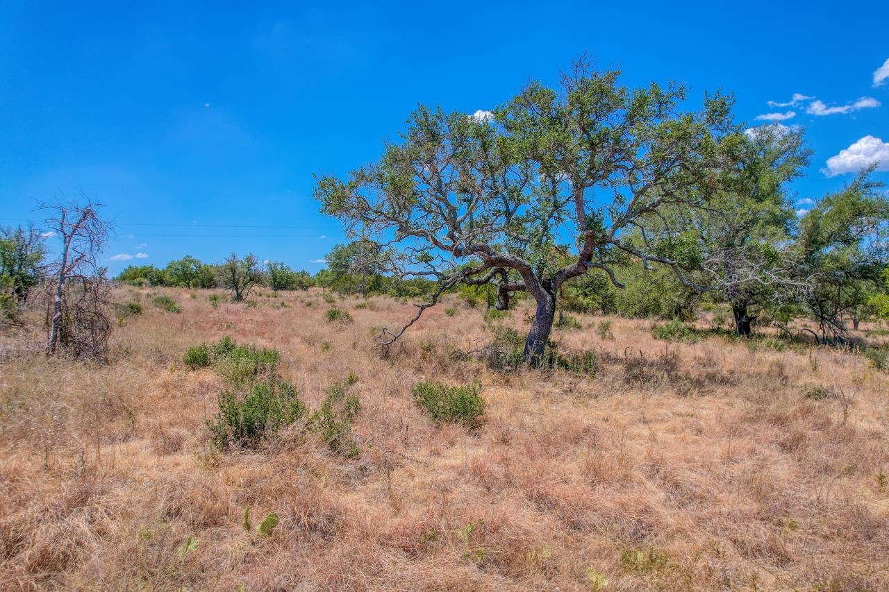 9580 Smith West Ranch Road Property Photo 14