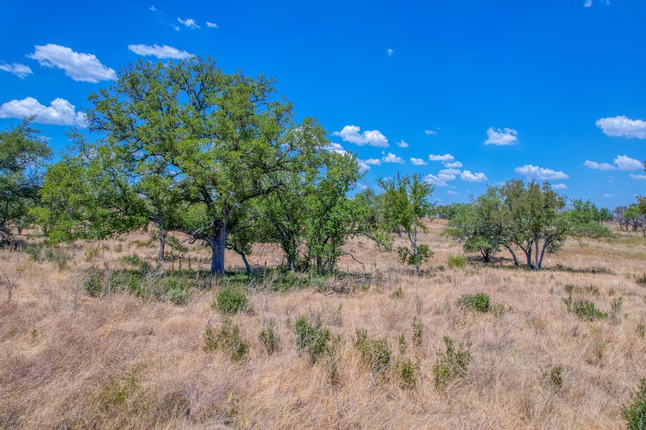 9580 Smith West Ranch Road Property Photo 15