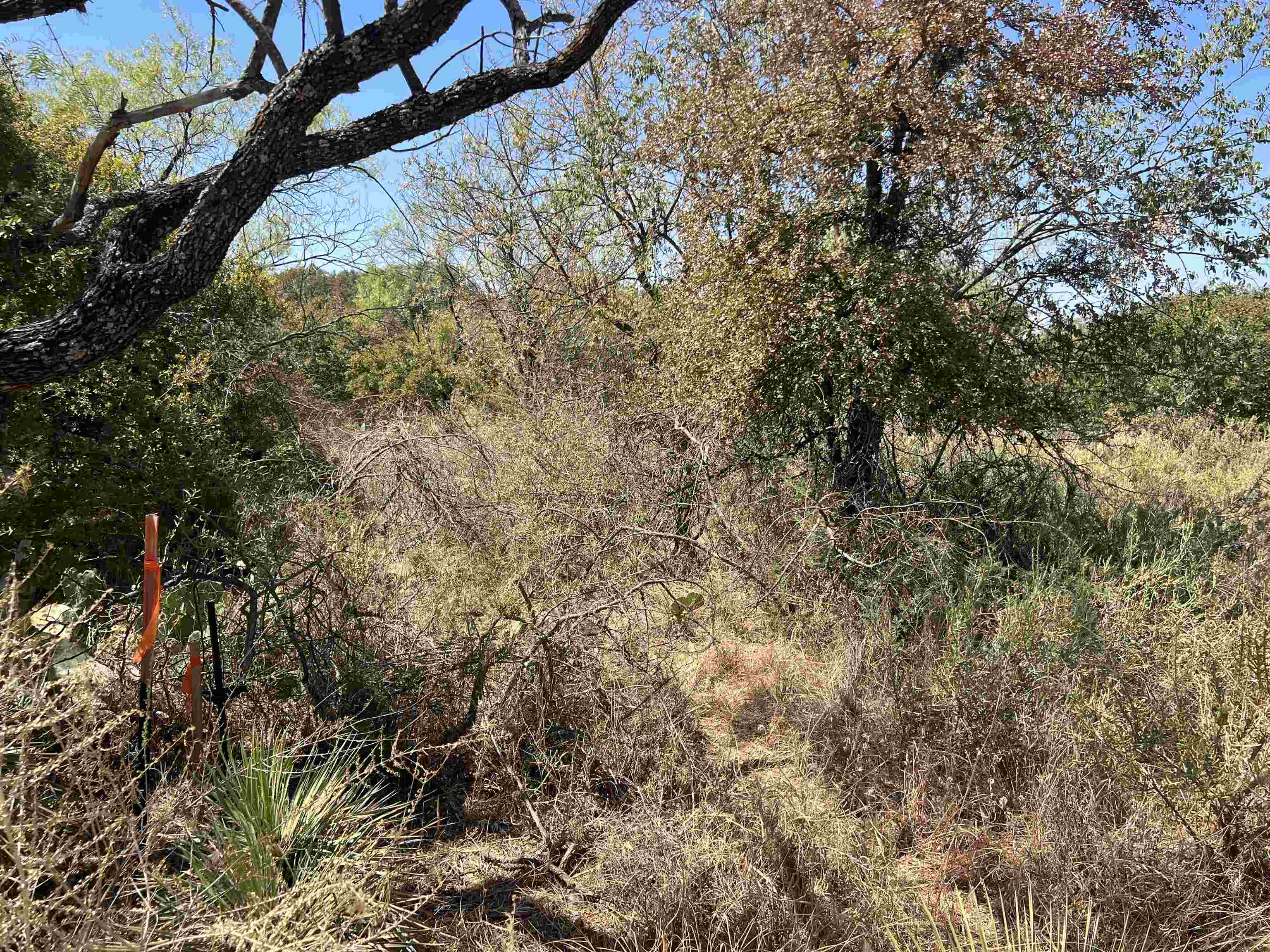 Lot 413 Southwood Dr Property Photo 1