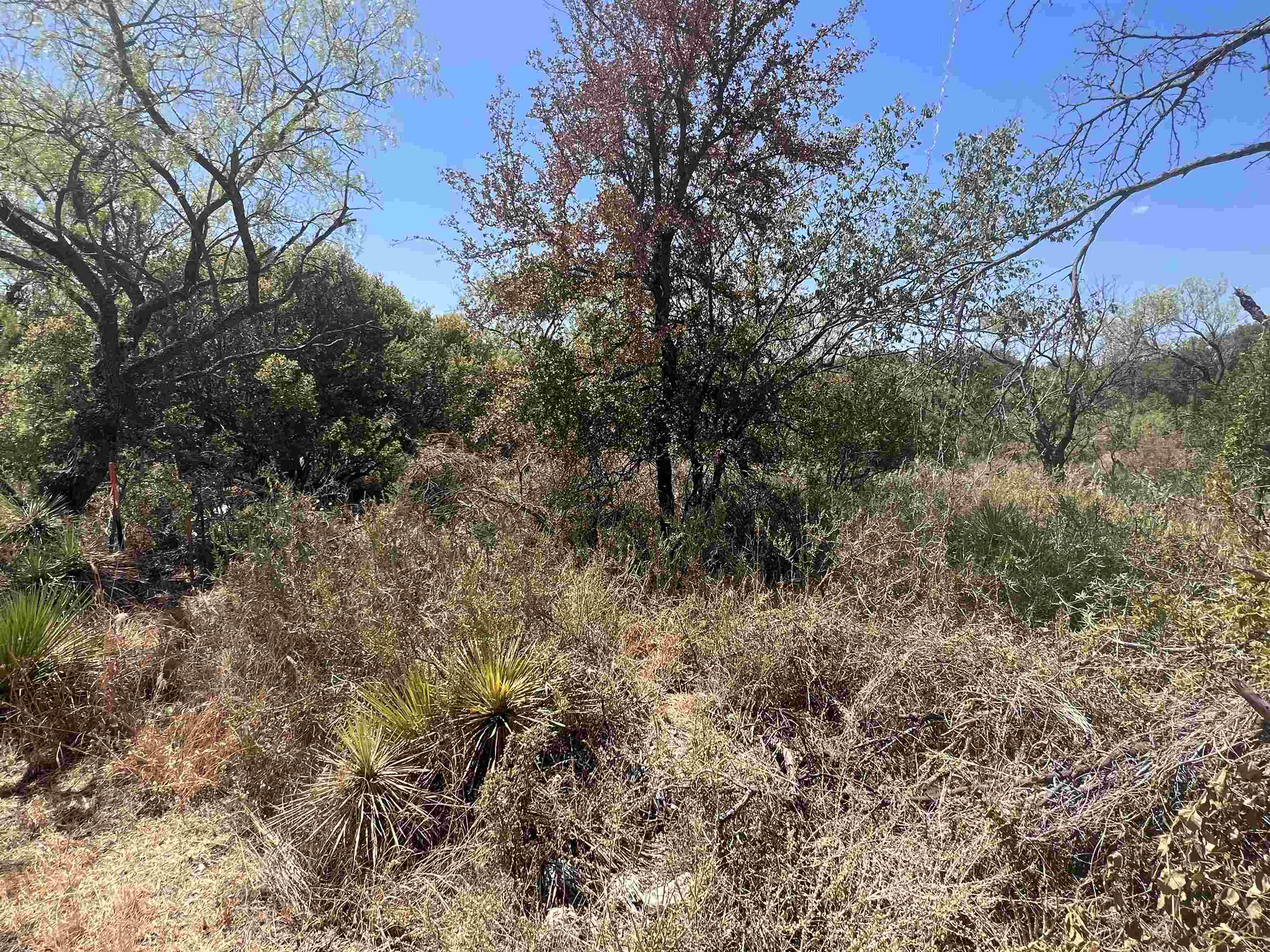 Lot 413 Southwood Dr Property Photo 2