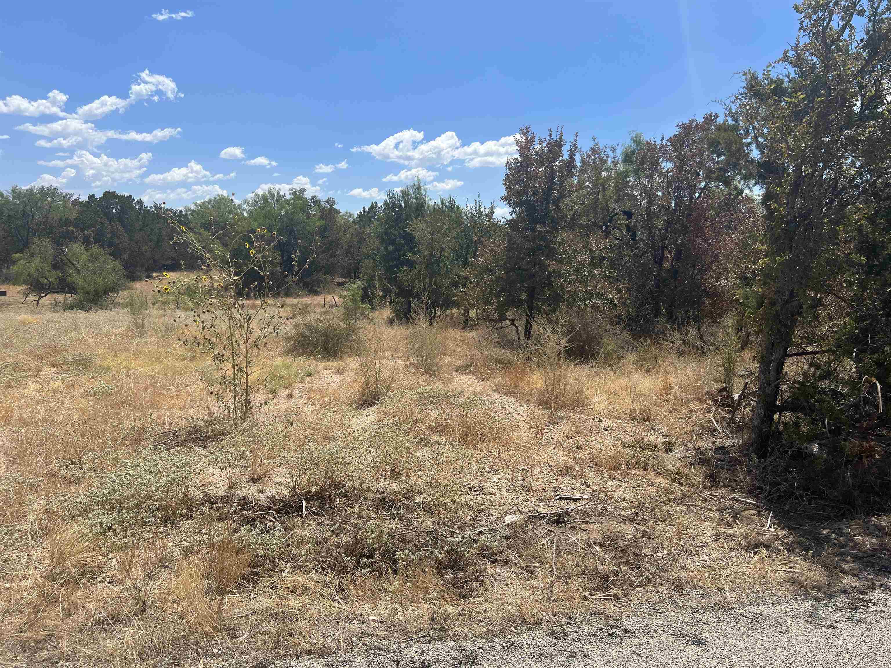Lot 413 Southwood Dr Property Photo 3