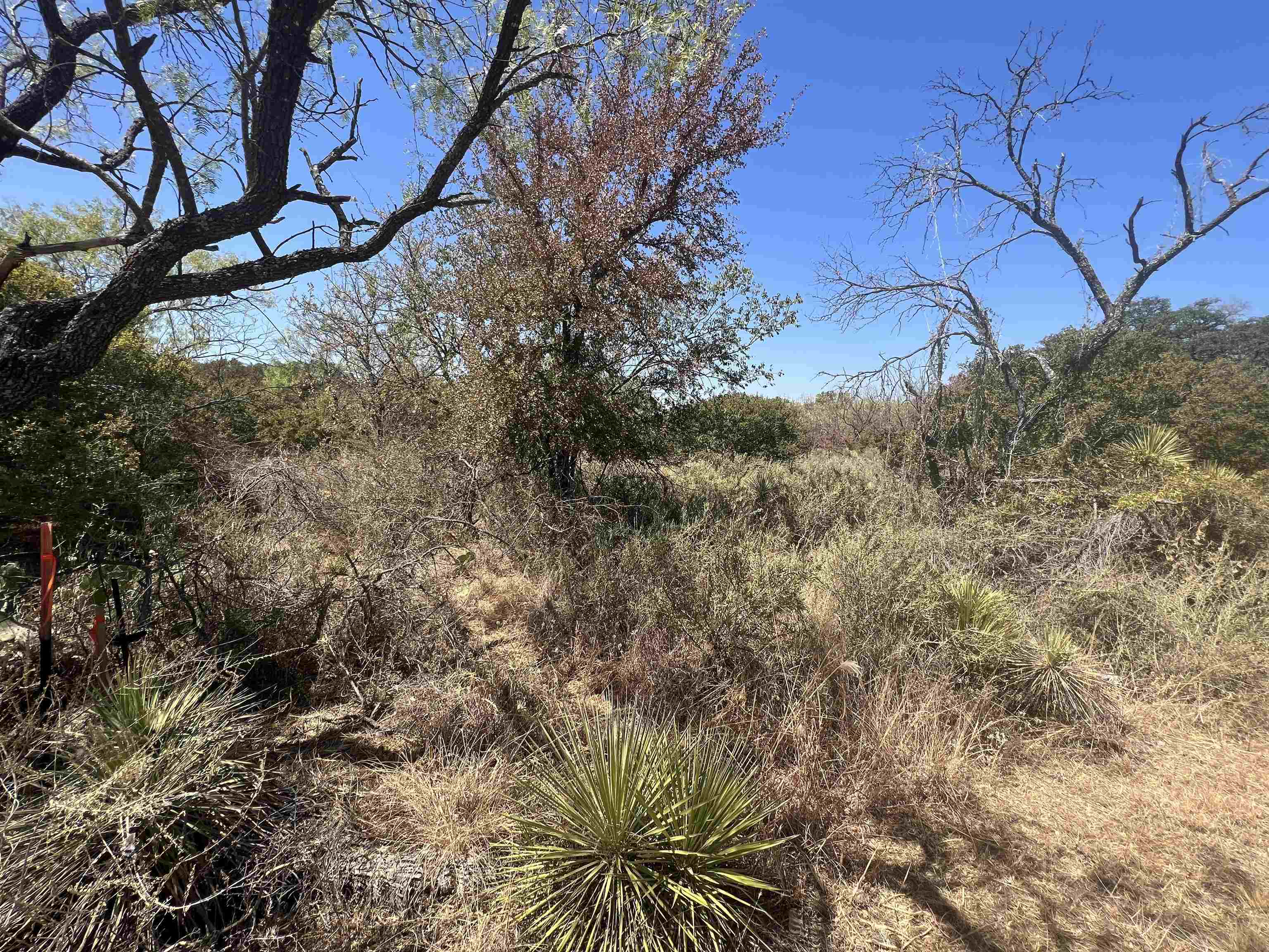 Lot 413 Southwood Dr Property Photo 4