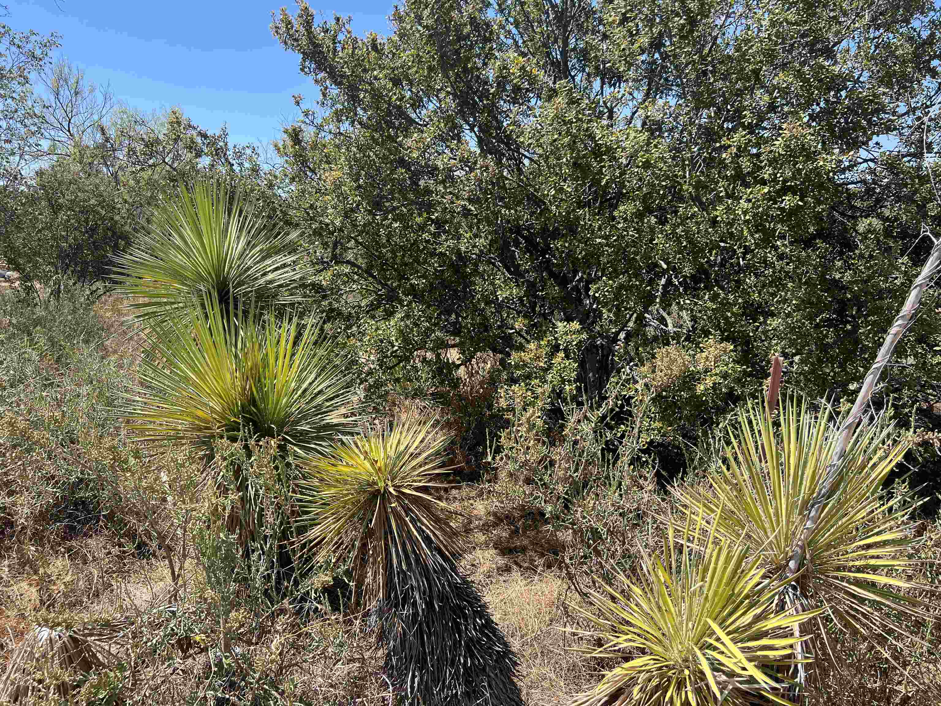 Lot 413 Southwood Dr Property Photo 5