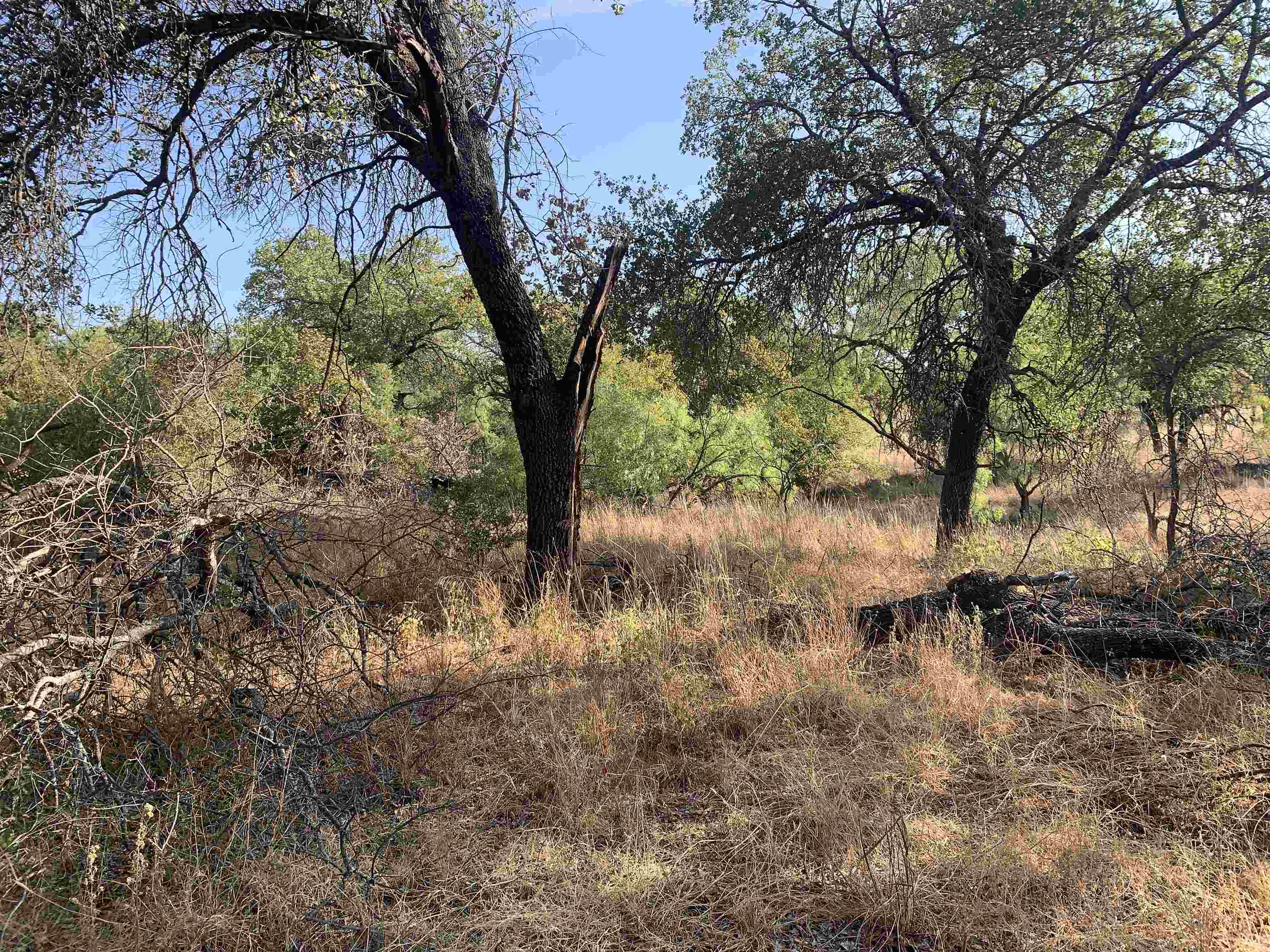 Fly Gap Road Property Photo 2