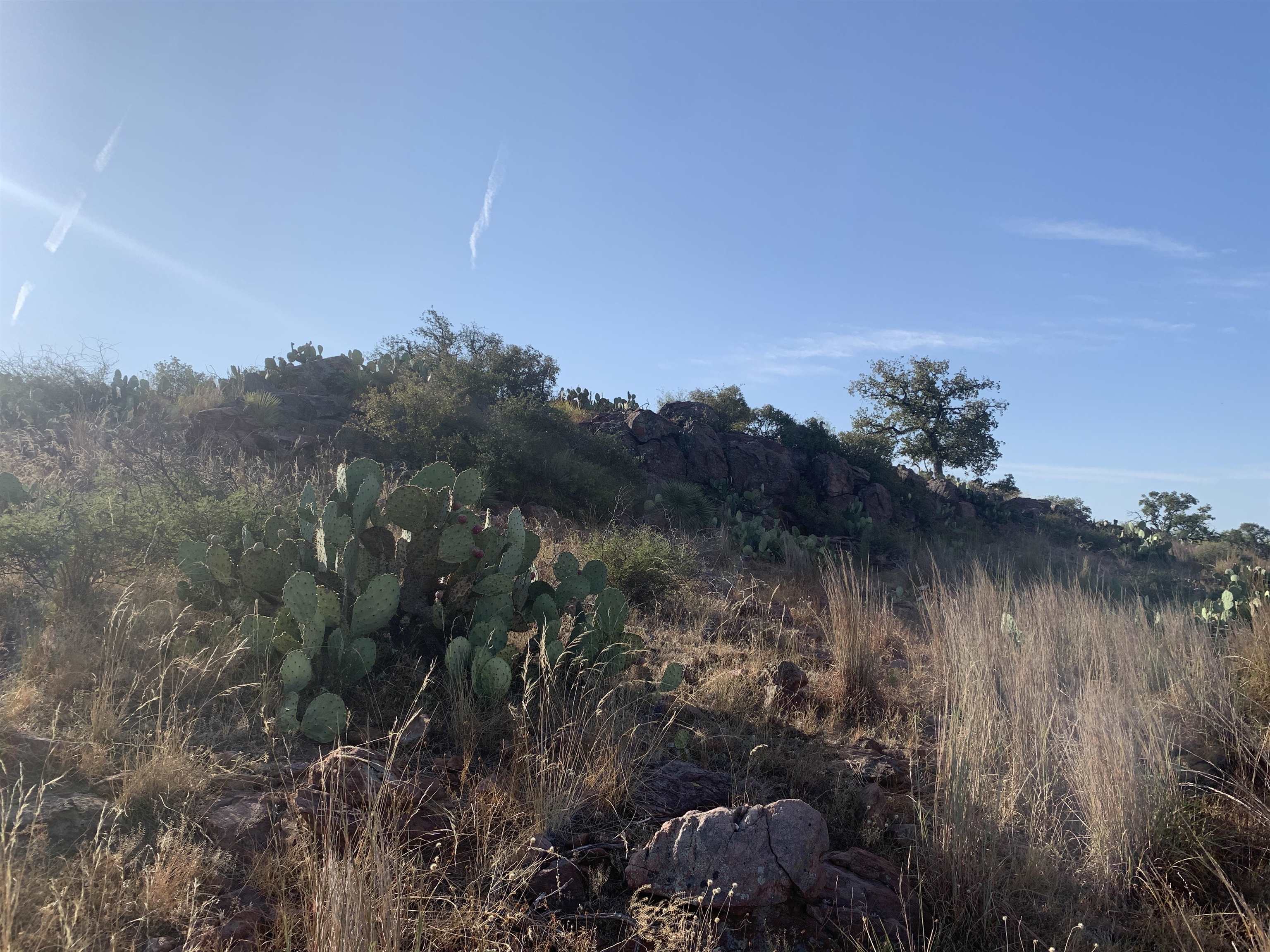 Fly Gap Road Property Photo 8