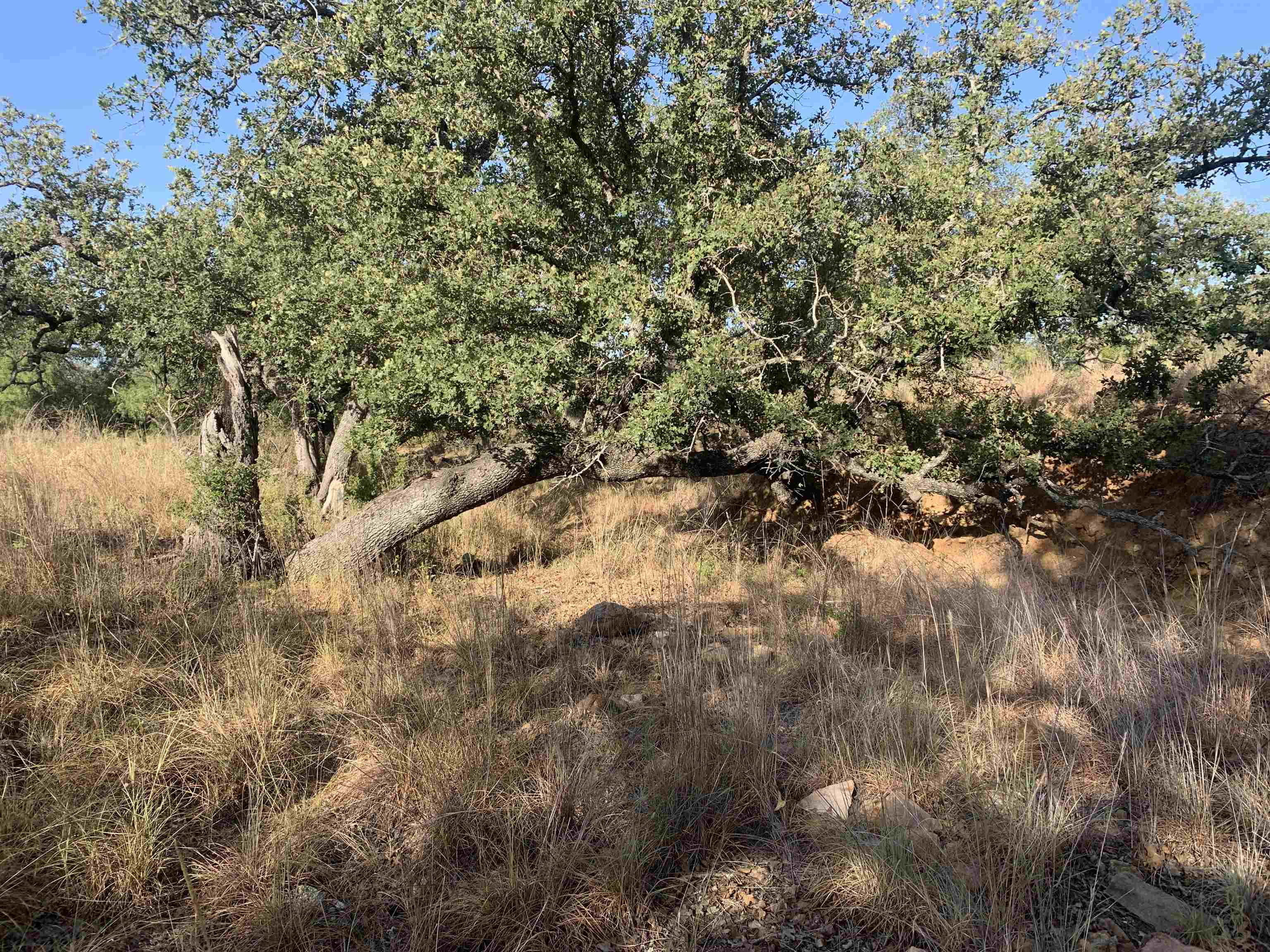 Fly Gap Road Property Photo 19