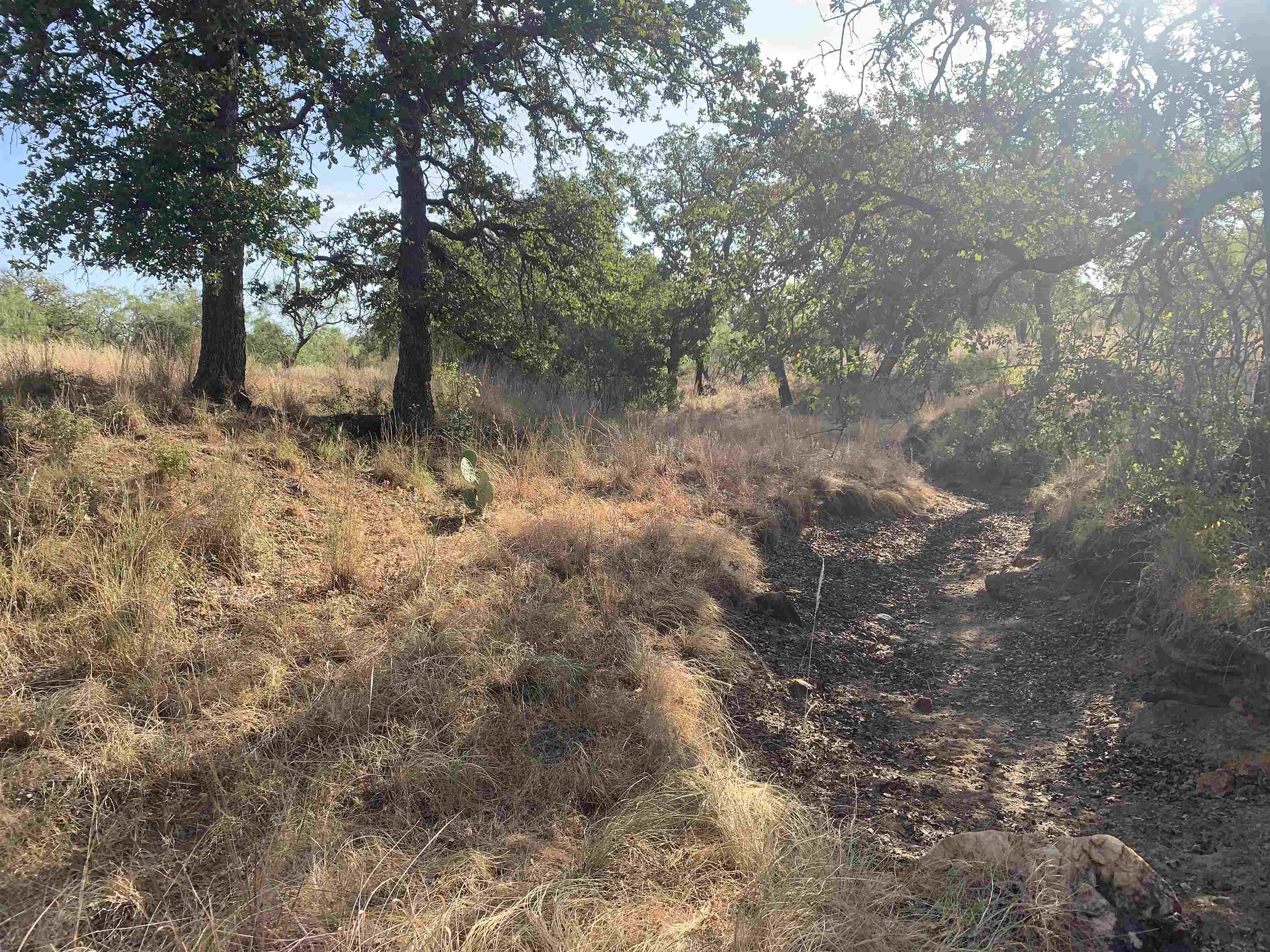 Fly Gap Road Property Photo 20