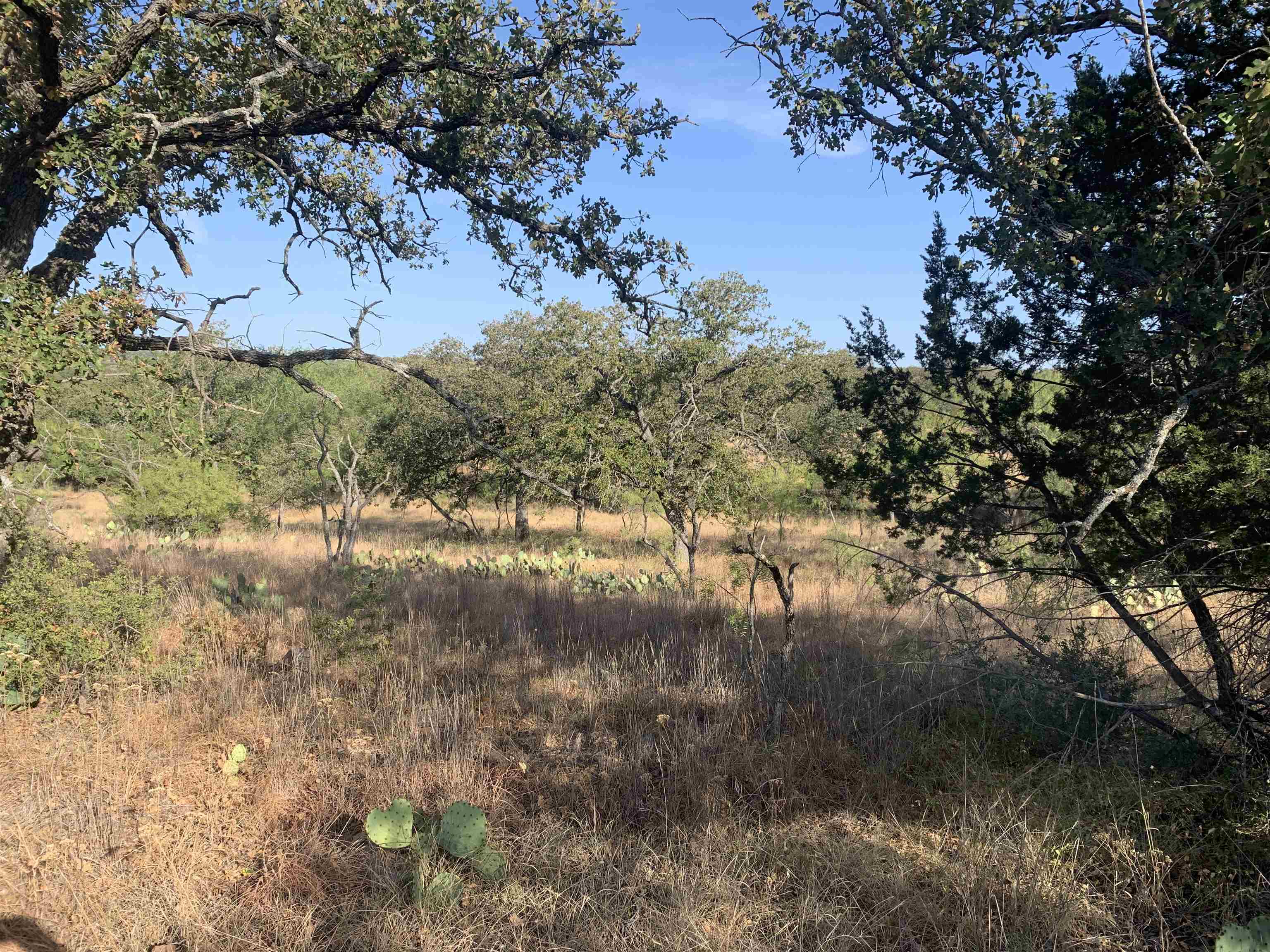 Fly Gap Road Property Photo 22