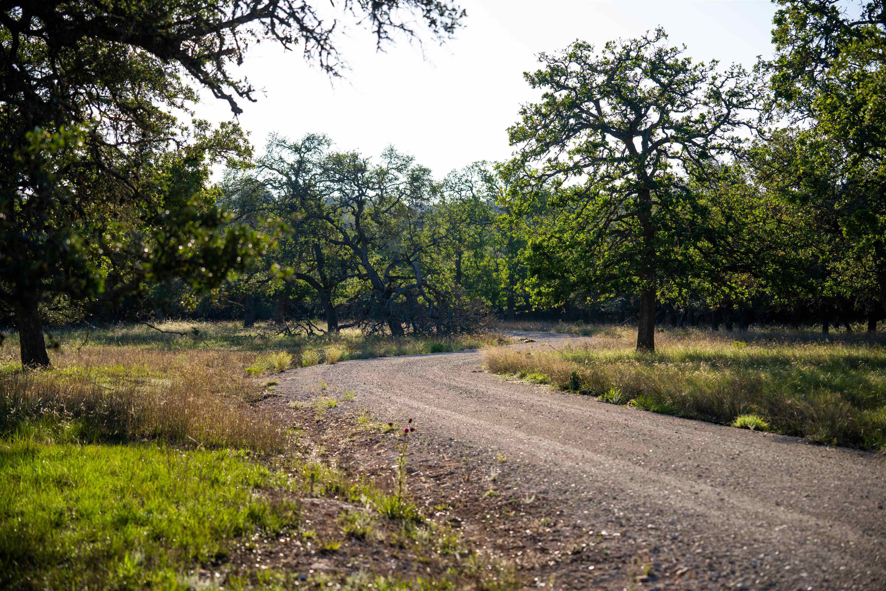 2673 Zenner-ahrens Rd Road Property Photo 4
