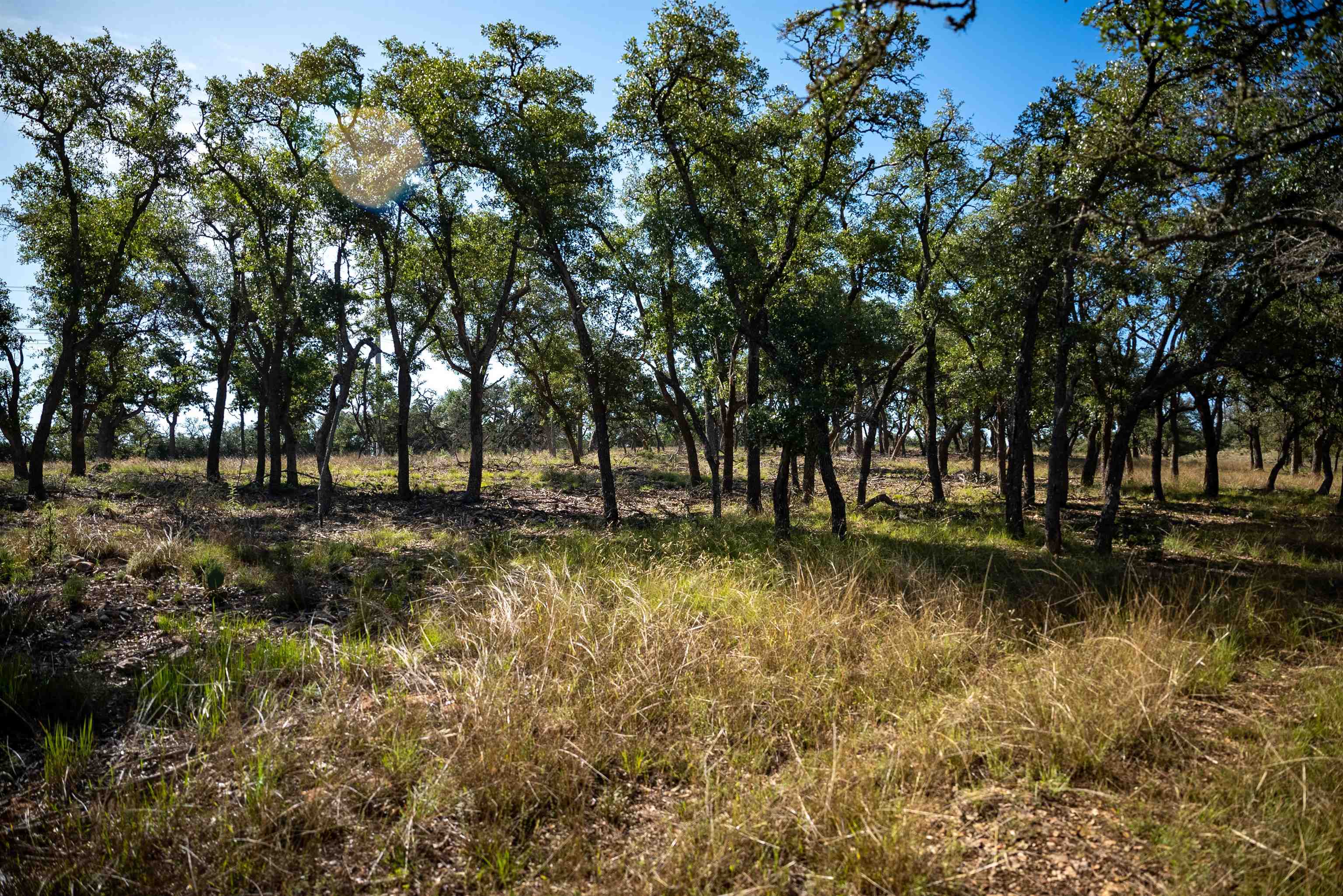 2673 Zenner-ahrens Rd Road Property Photo 16
