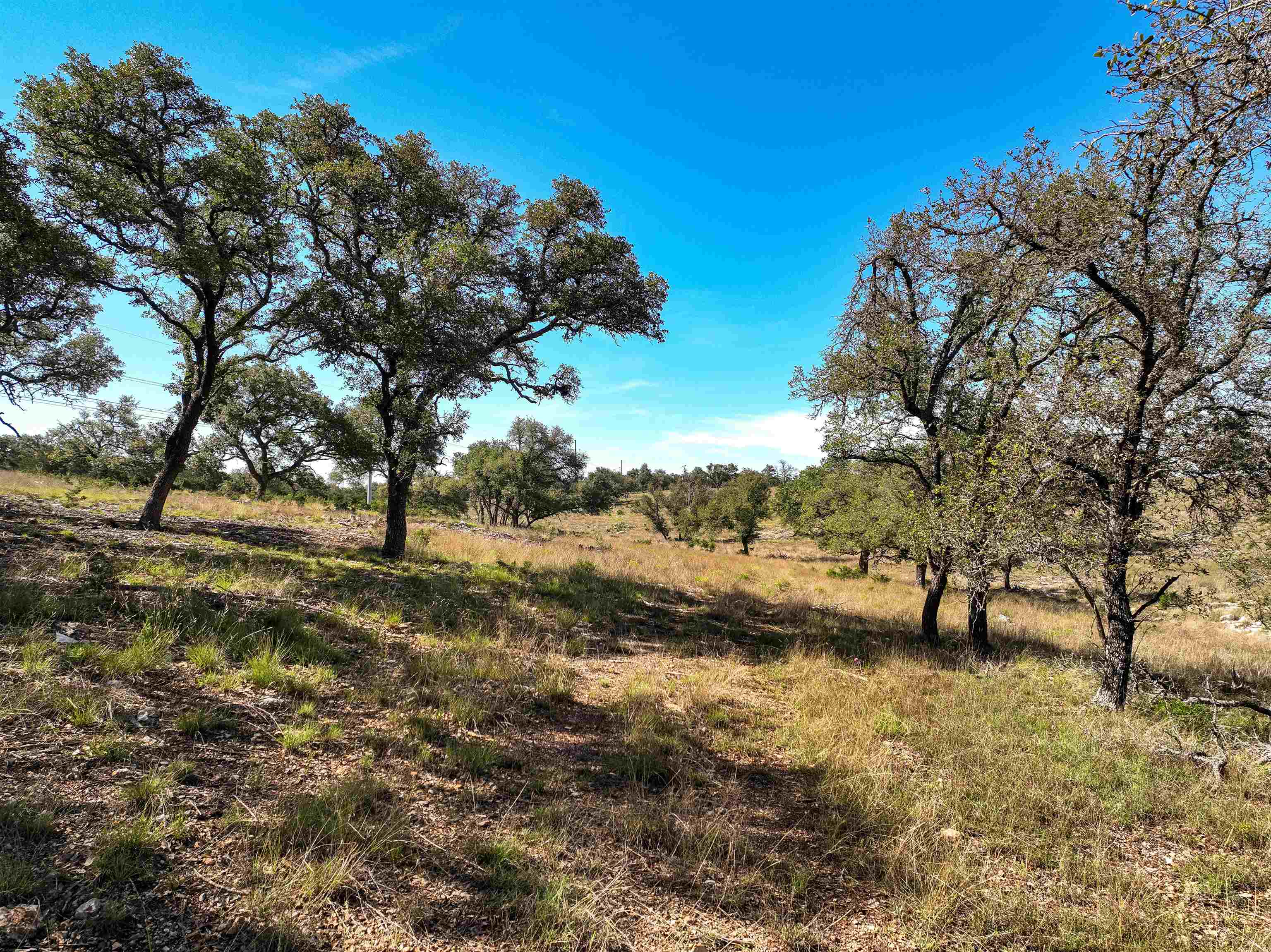 2673 Zenner-ahrens Rd Road Property Photo 18