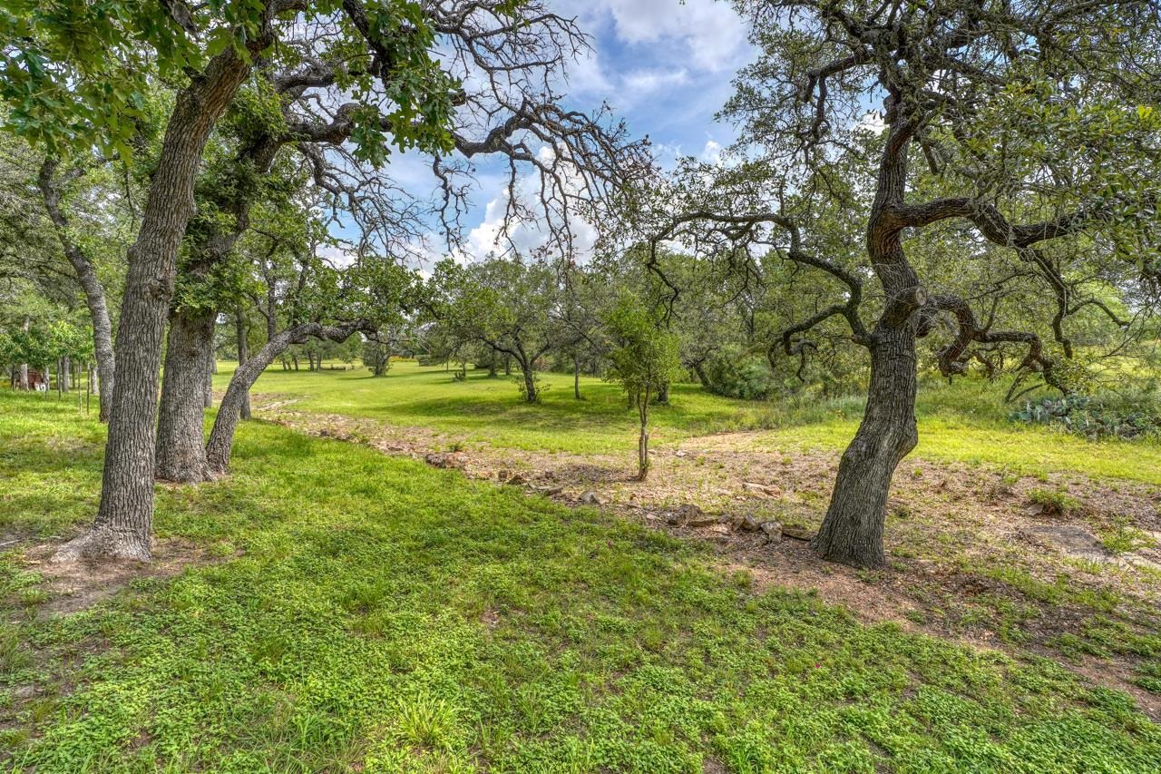 227 Madden Ranch Road Property Photo 5