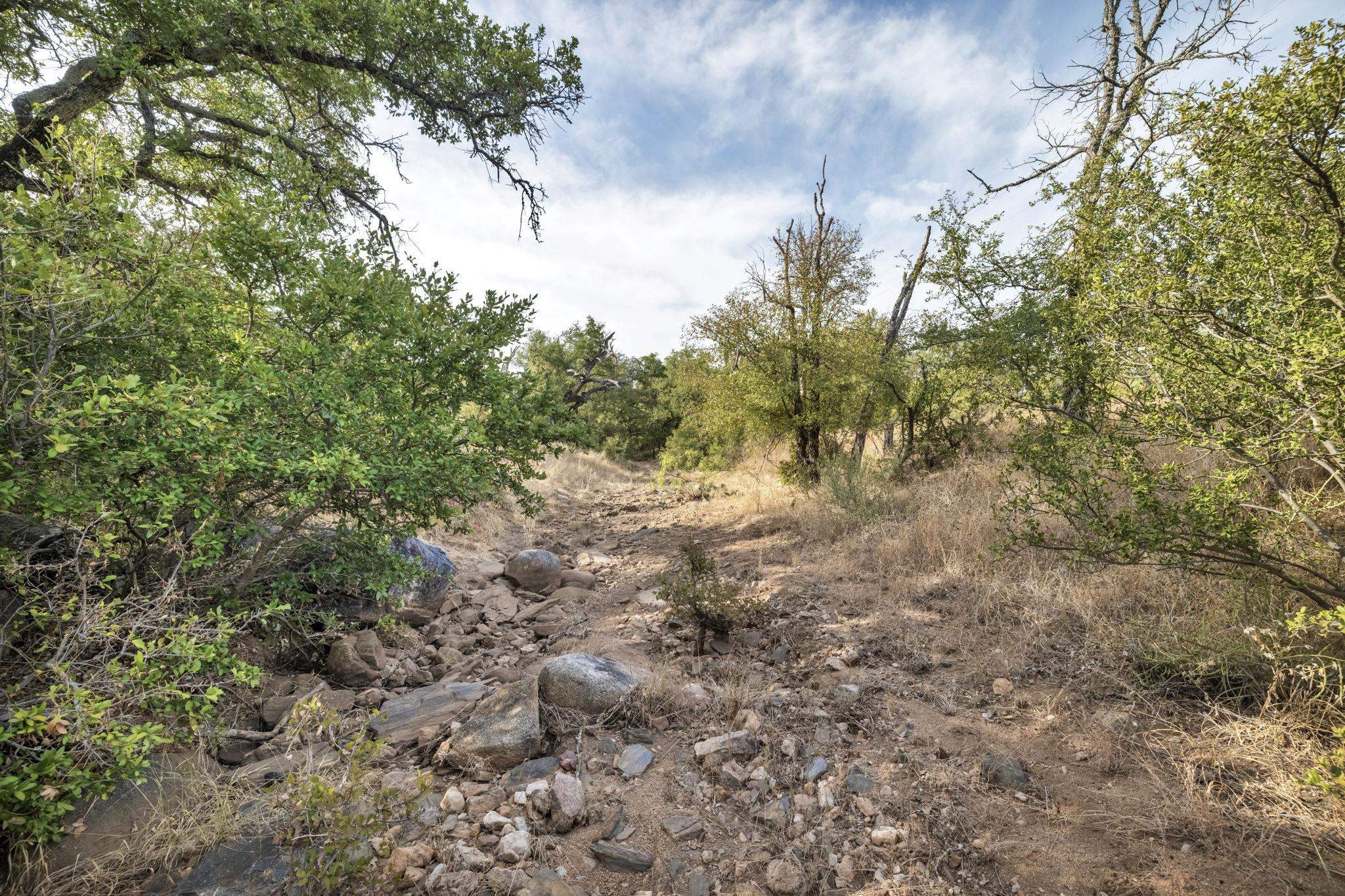 2467 Rough Hollow Road Property Photo 4
