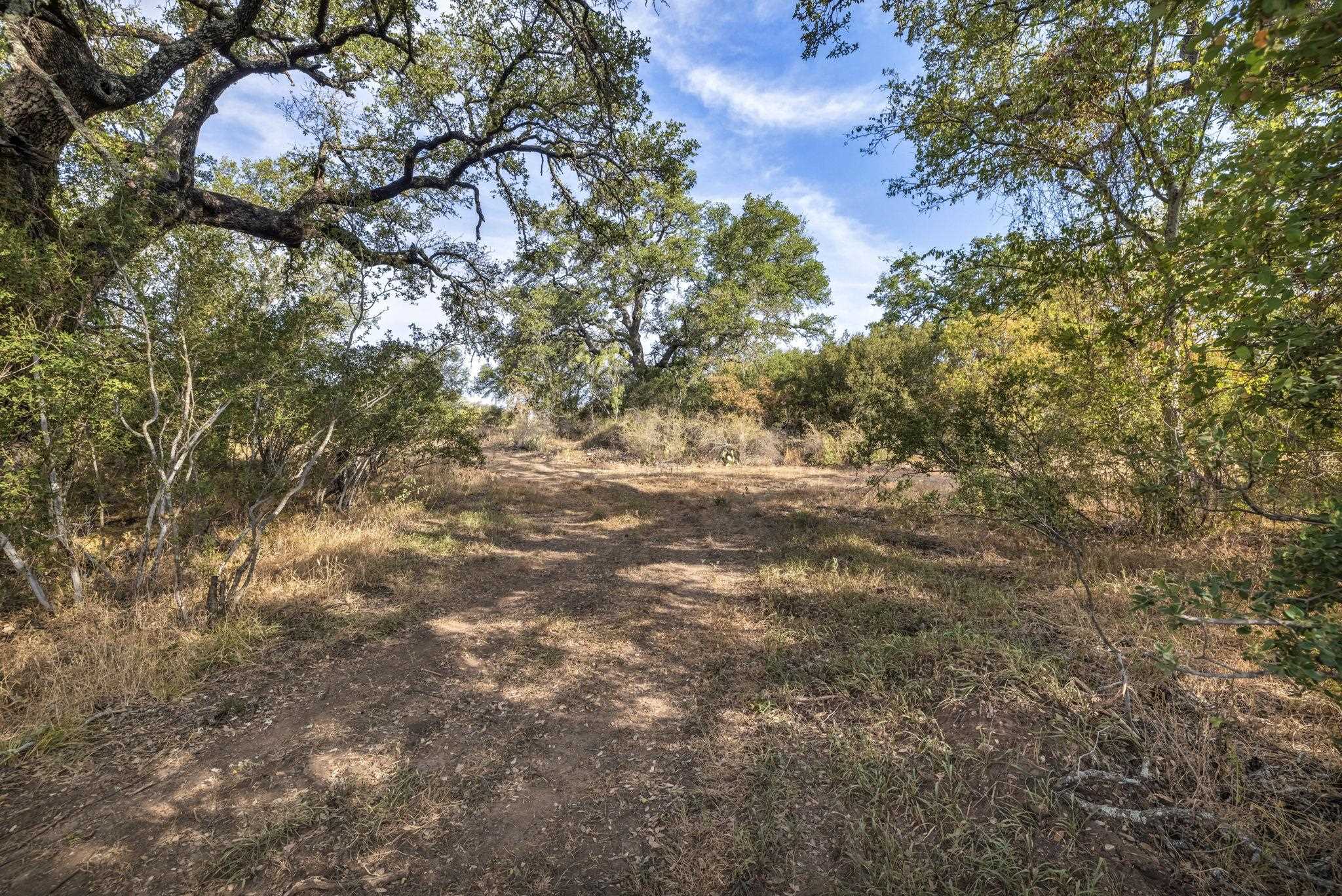 2467 Rough Hollow Road Property Photo 5