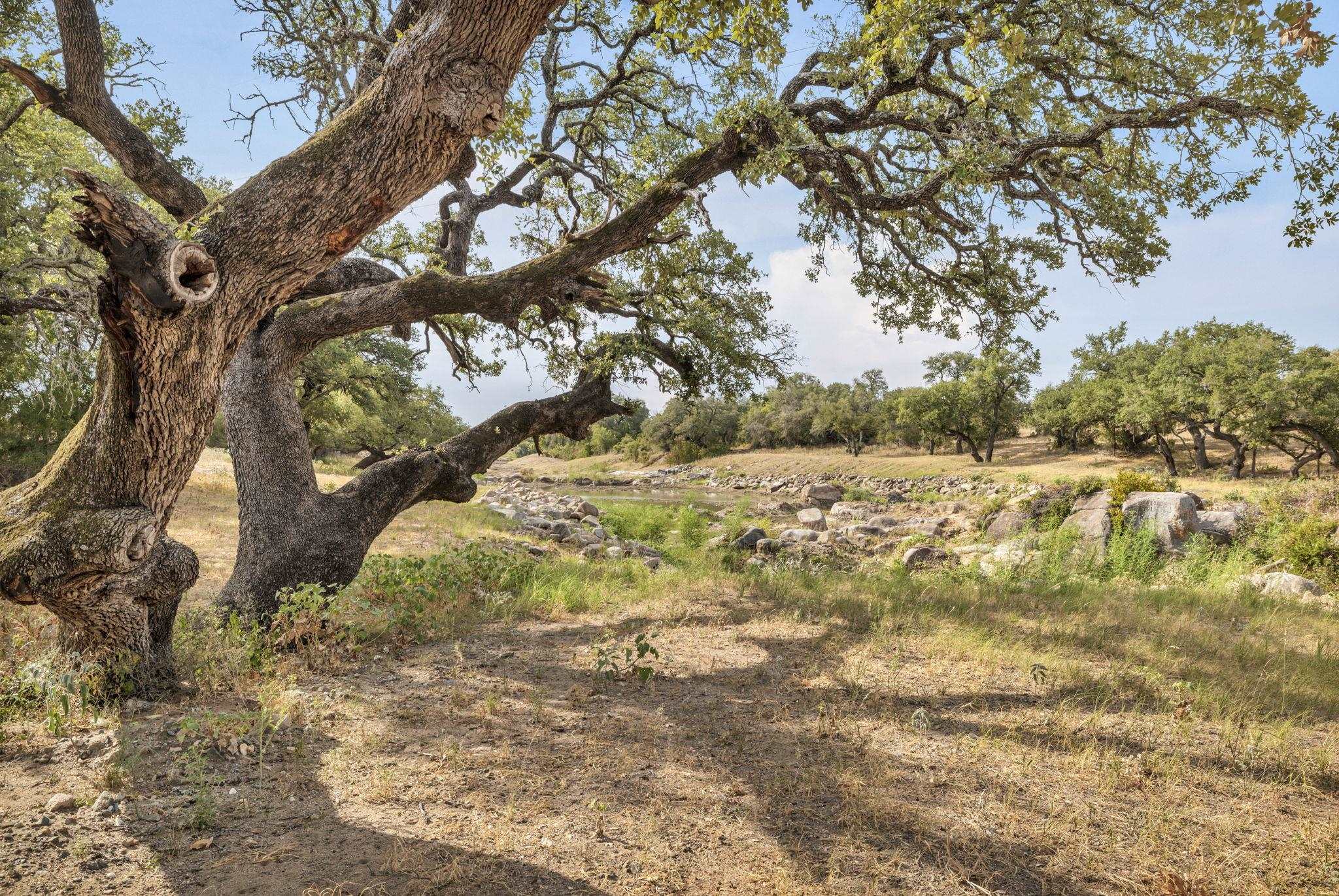 2467 Rough Hollow Road Property Photo 15