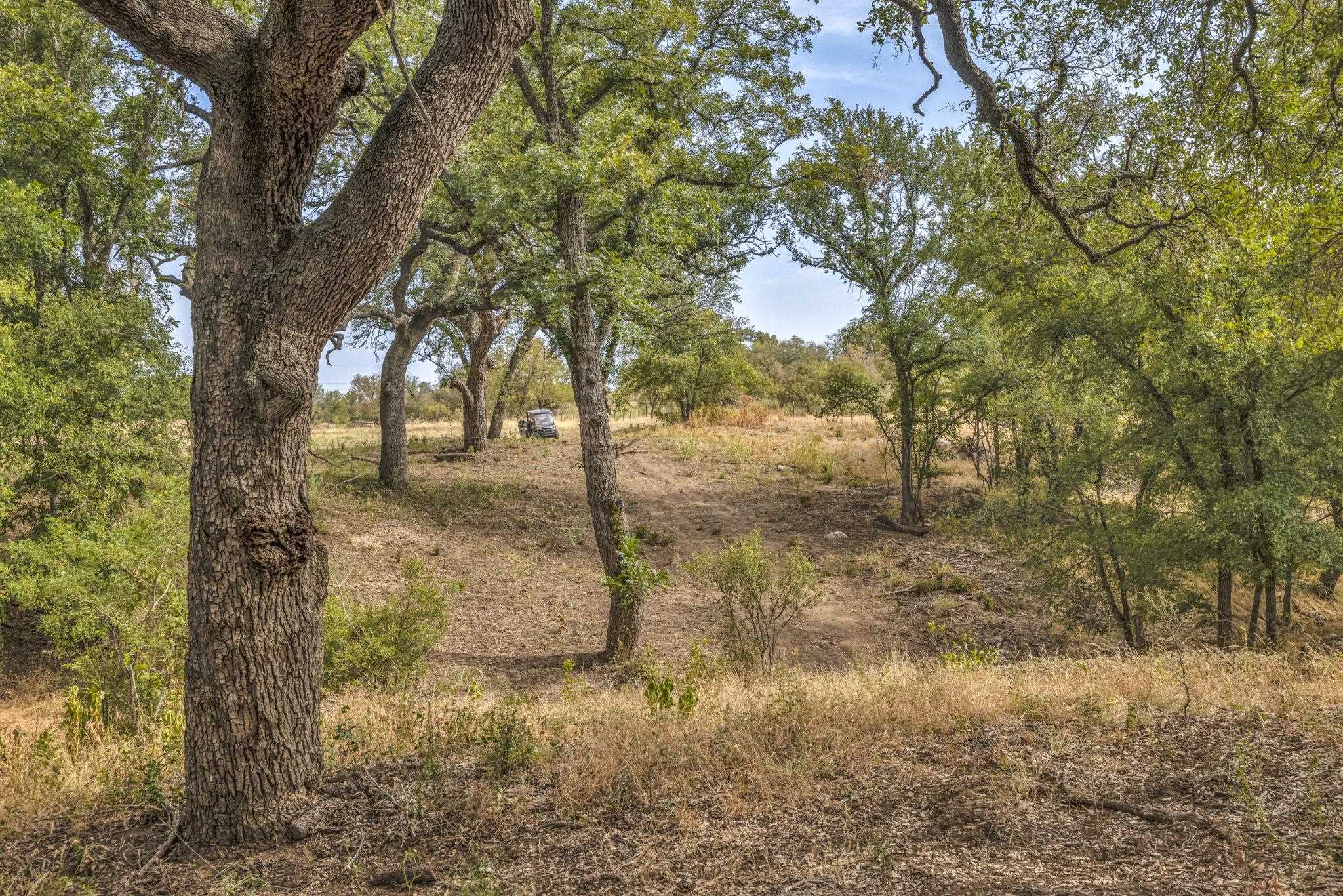 2467 Rough Hollow Road Property Photo 21