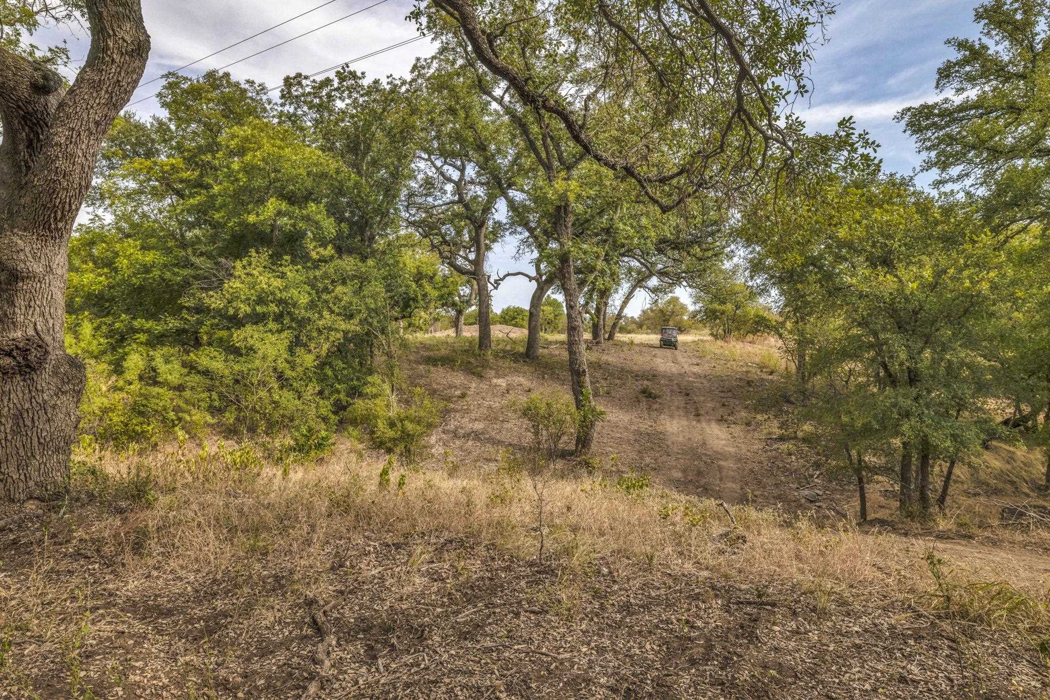 2467 Rough Hollow Road Property Photo 23
