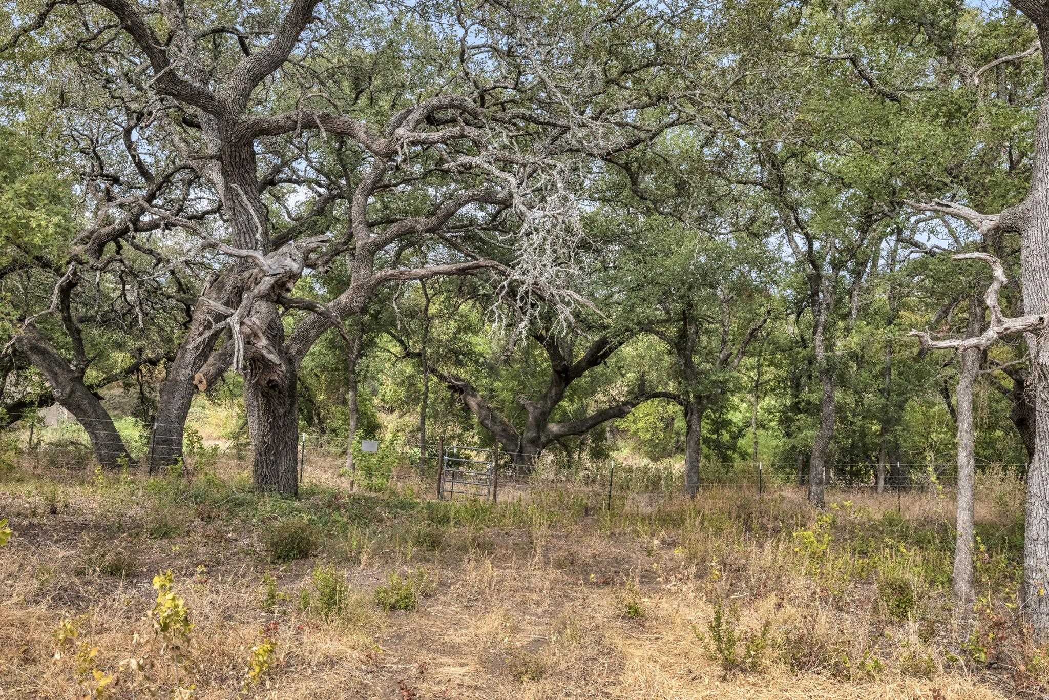 2467 Rough Hollow Road Property Photo 29
