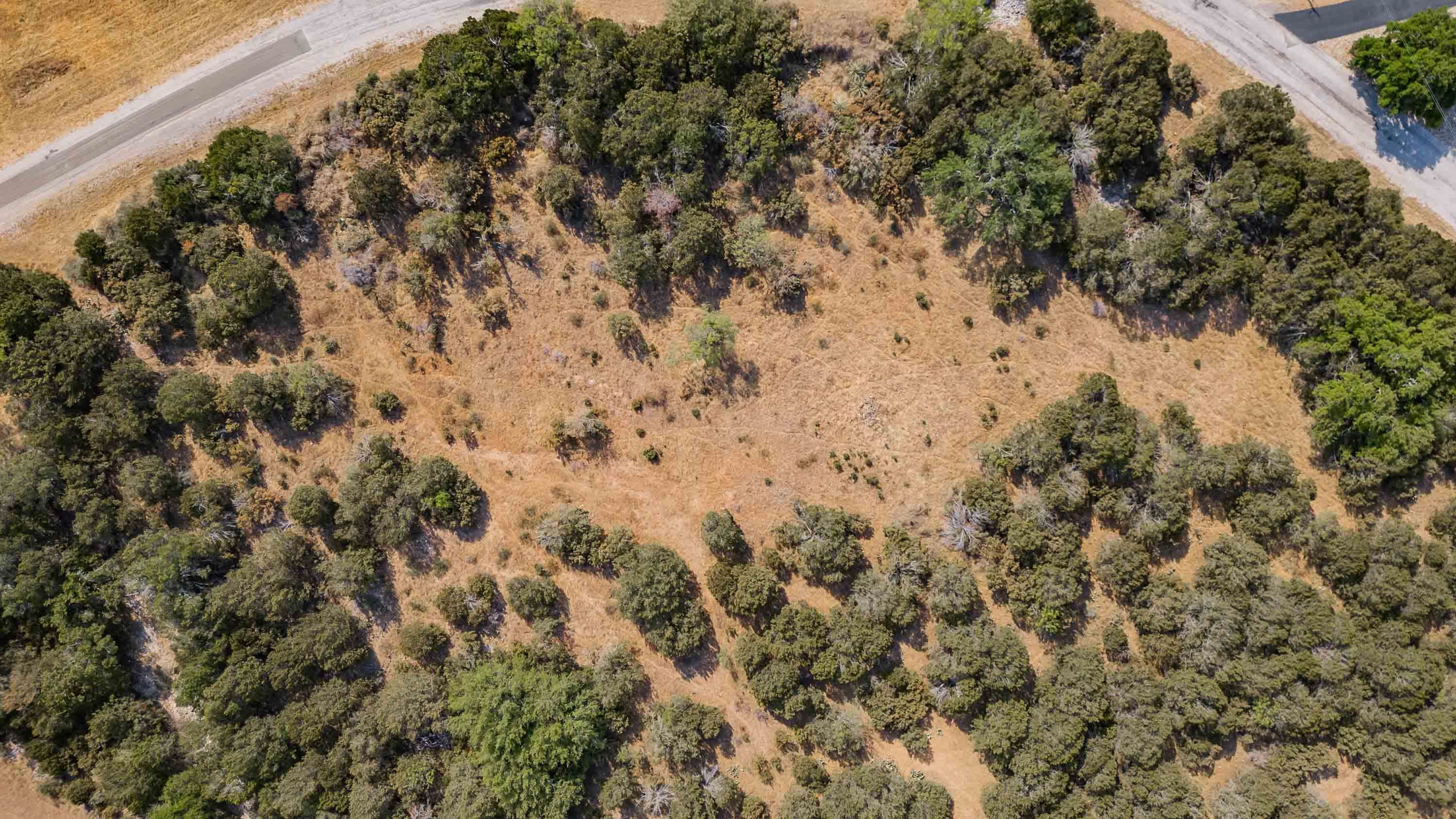 429 Quarter Horse Circle Property Photo 11